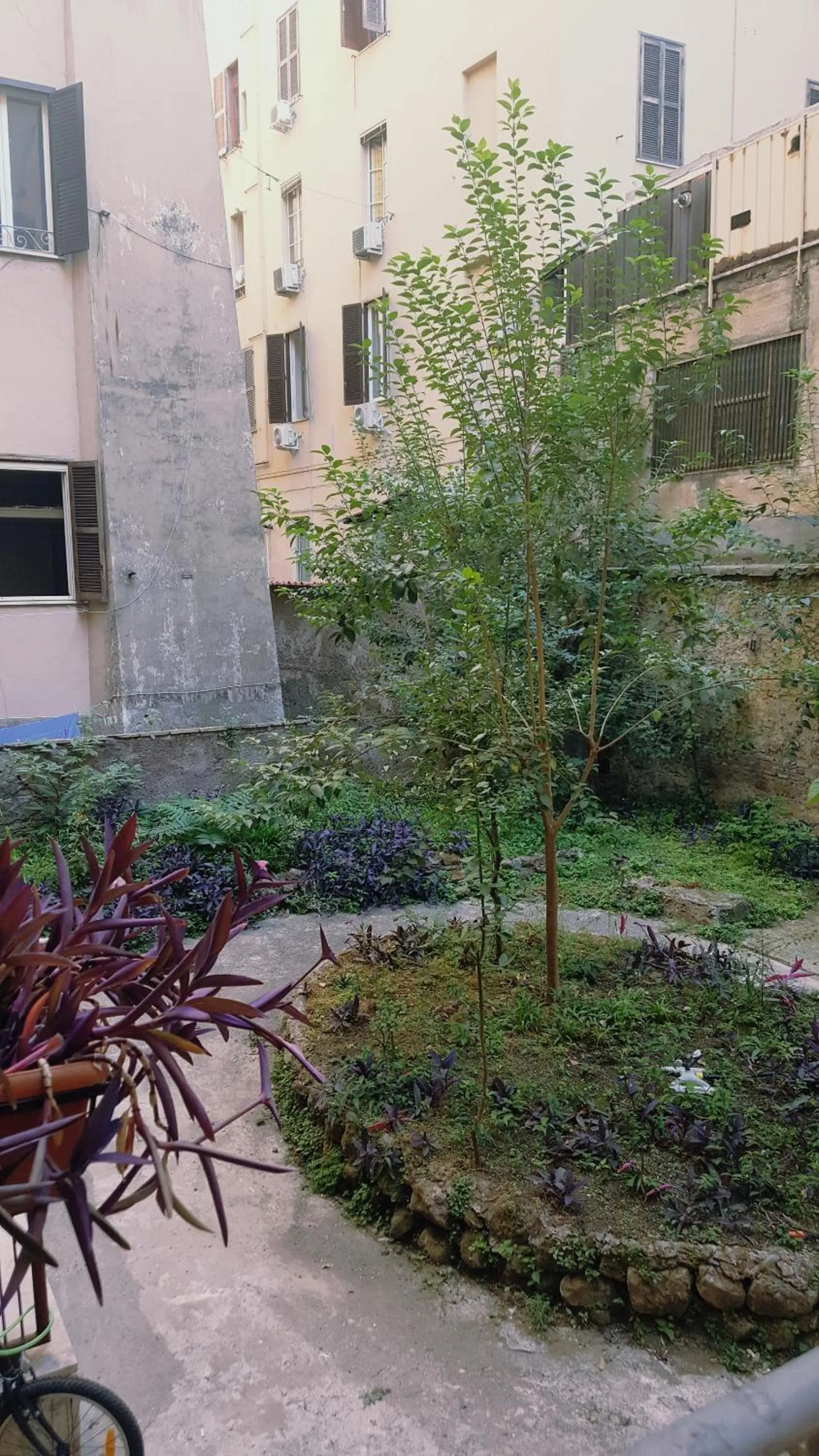 Garden view in Marcelina vaticans rooms