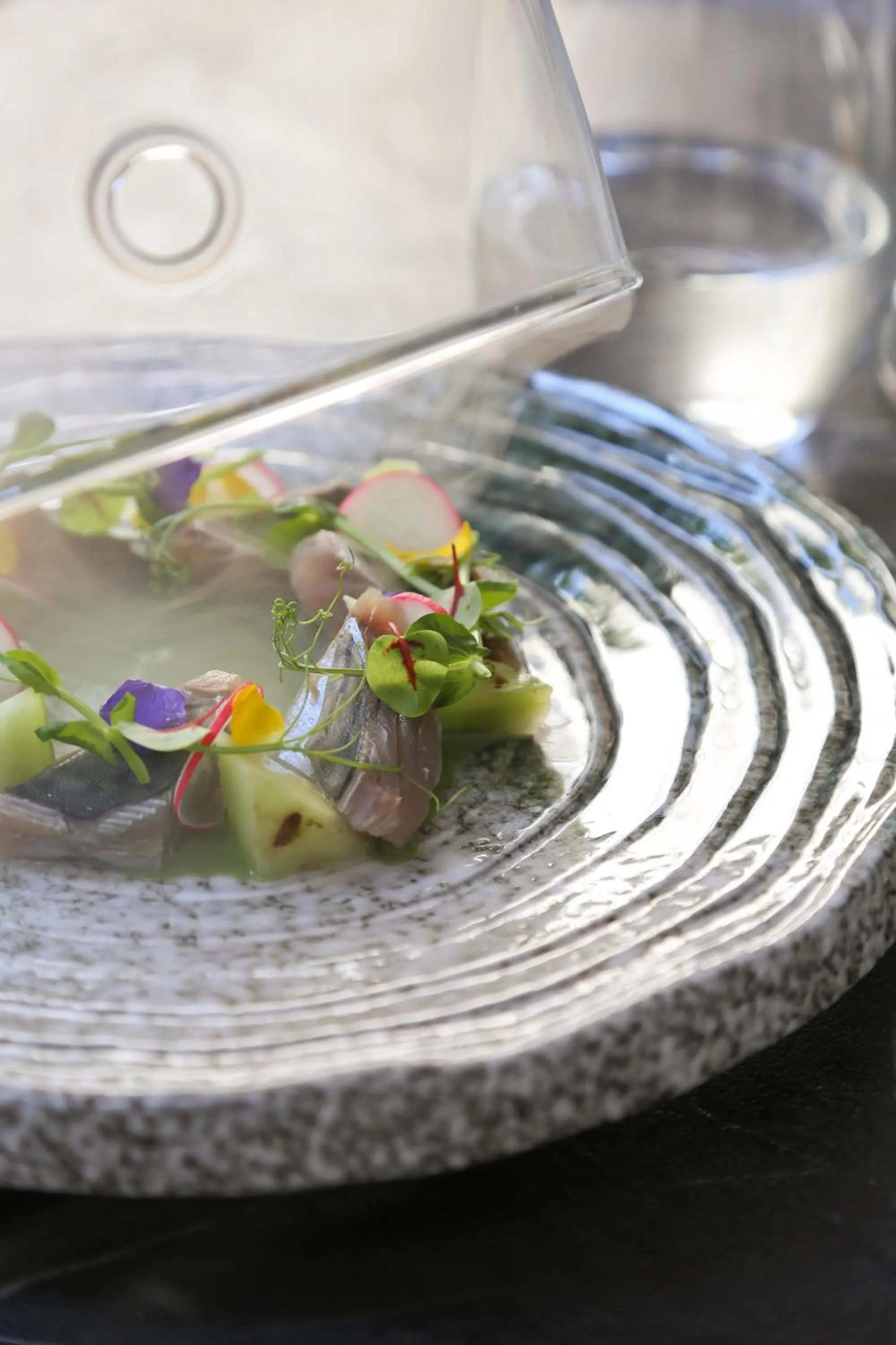 Restaurant/places to eat in Vanoro Hotel