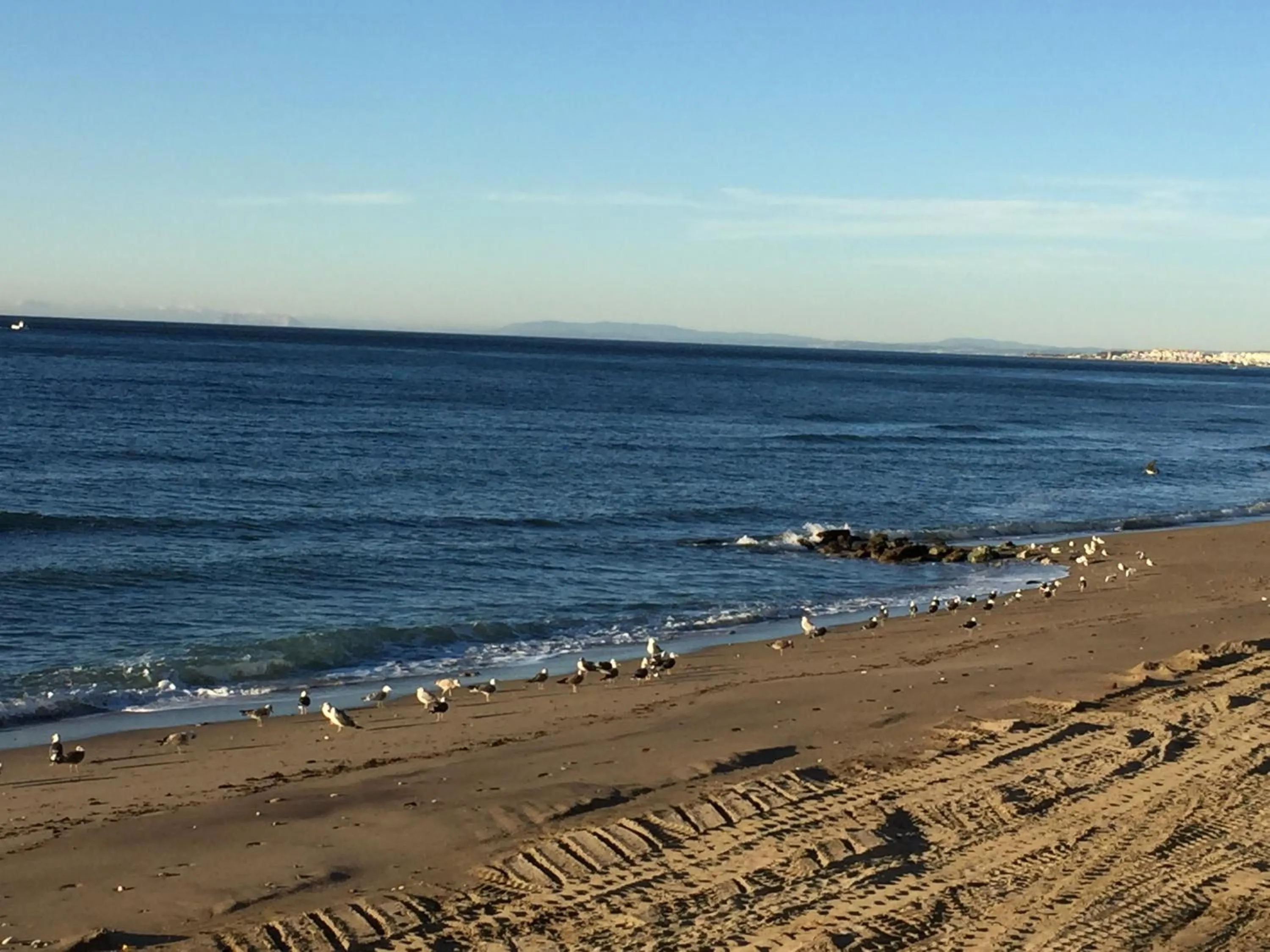 Beach in Skol Apartments Marbella