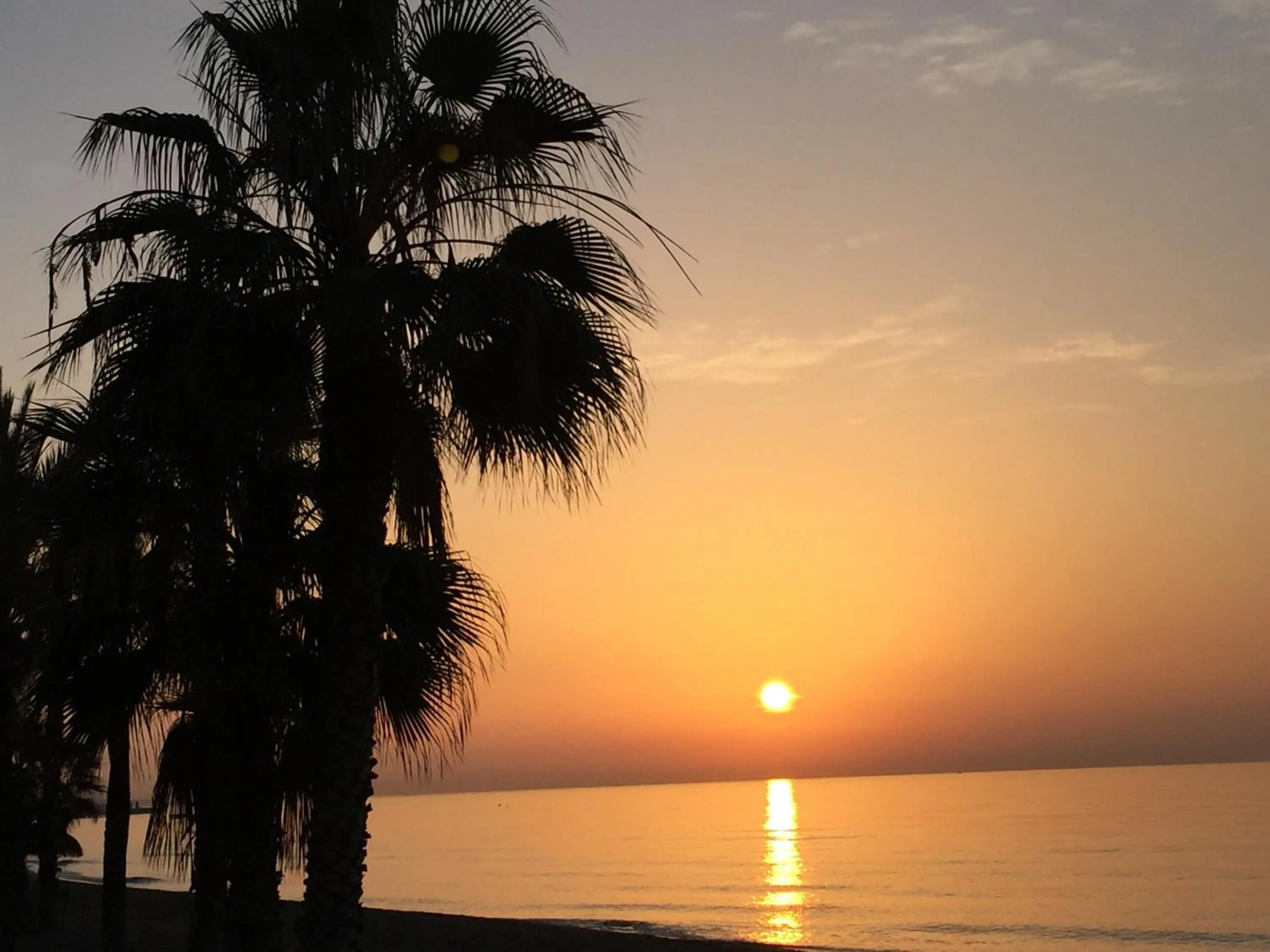 Off site in Skol Apartments Marbella