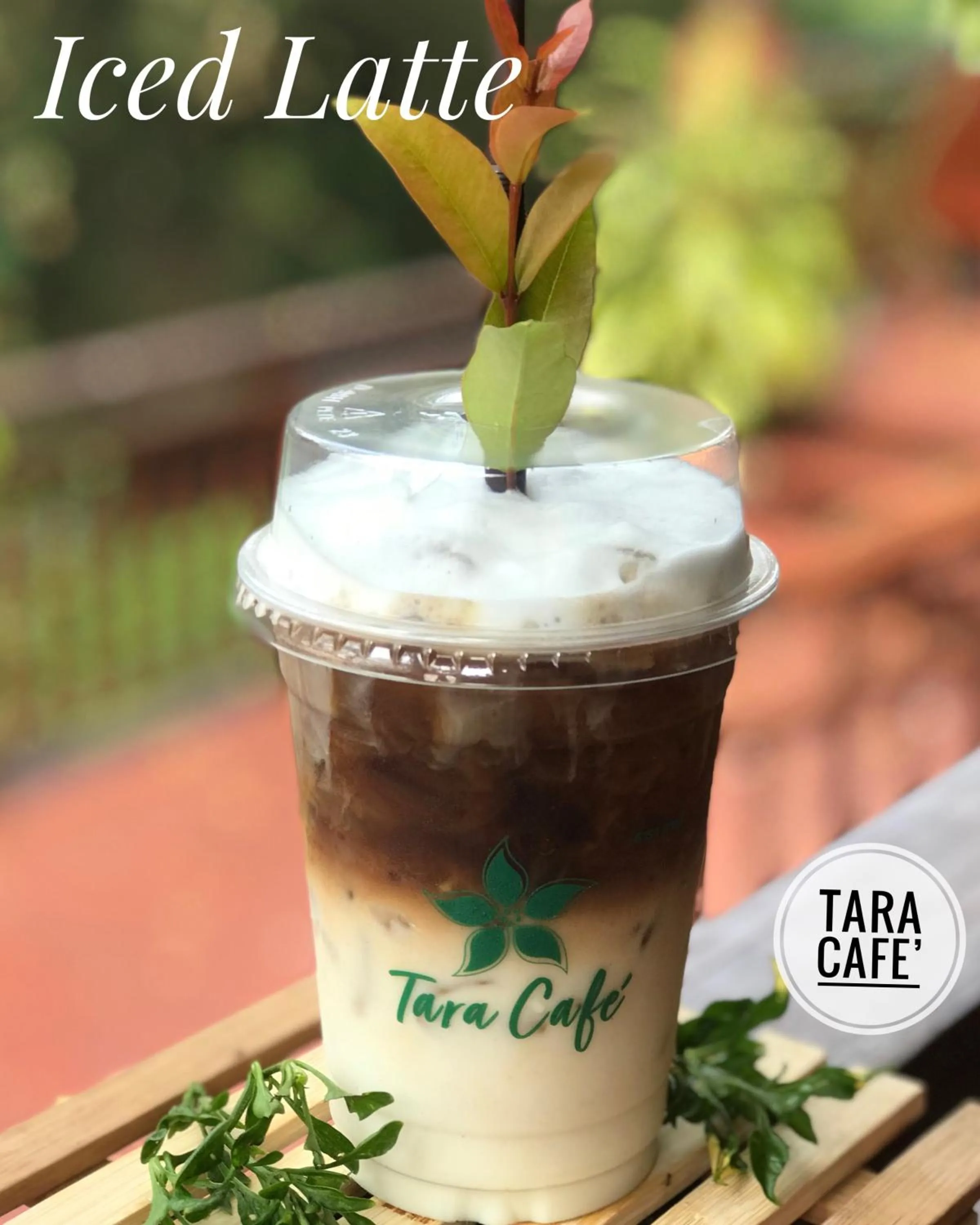 Property logo or sign in Papai Country Lodge SHA