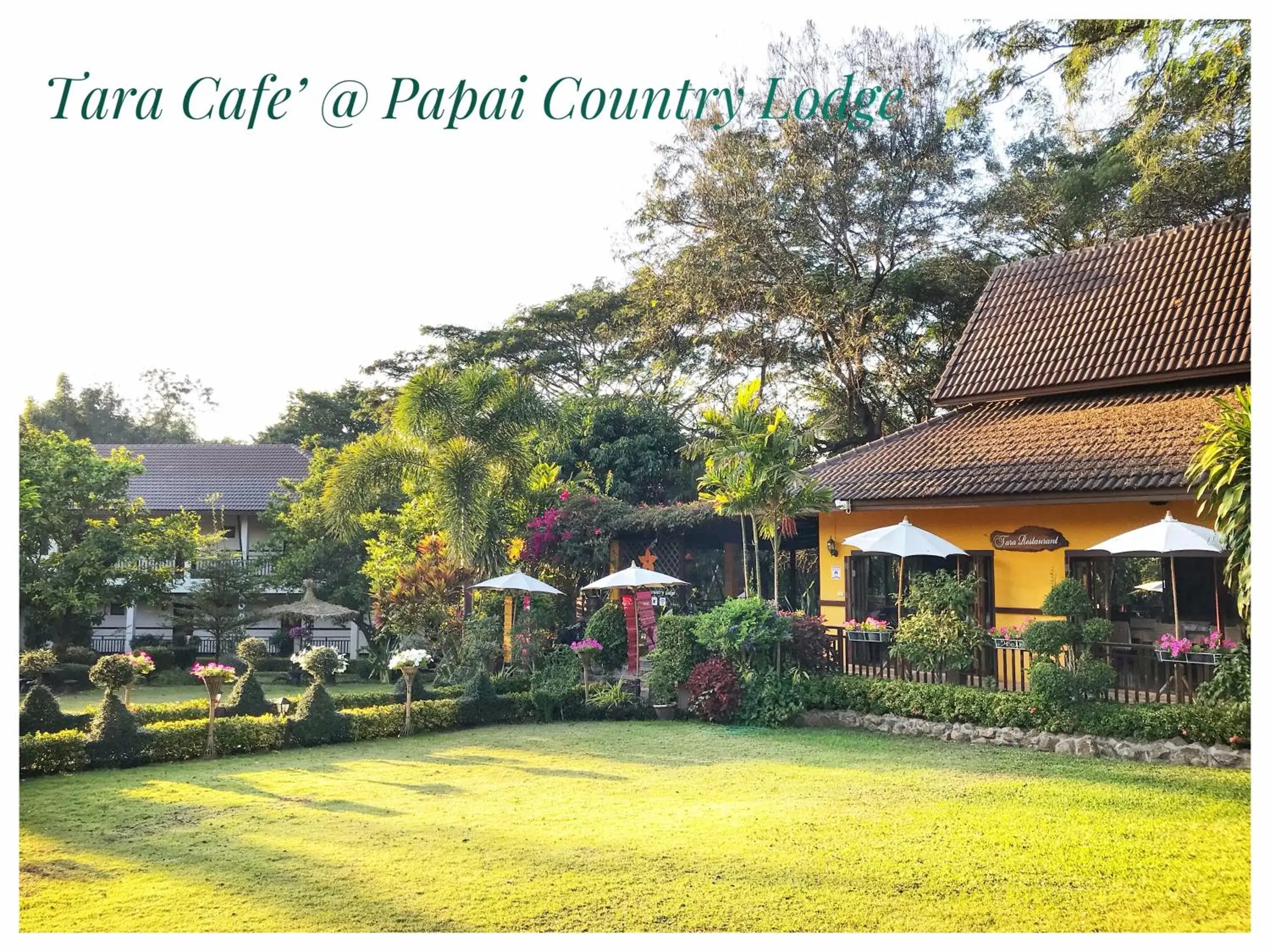 Property building in Papai Country Lodge SHA Property building in Papai Country Lodge SHA