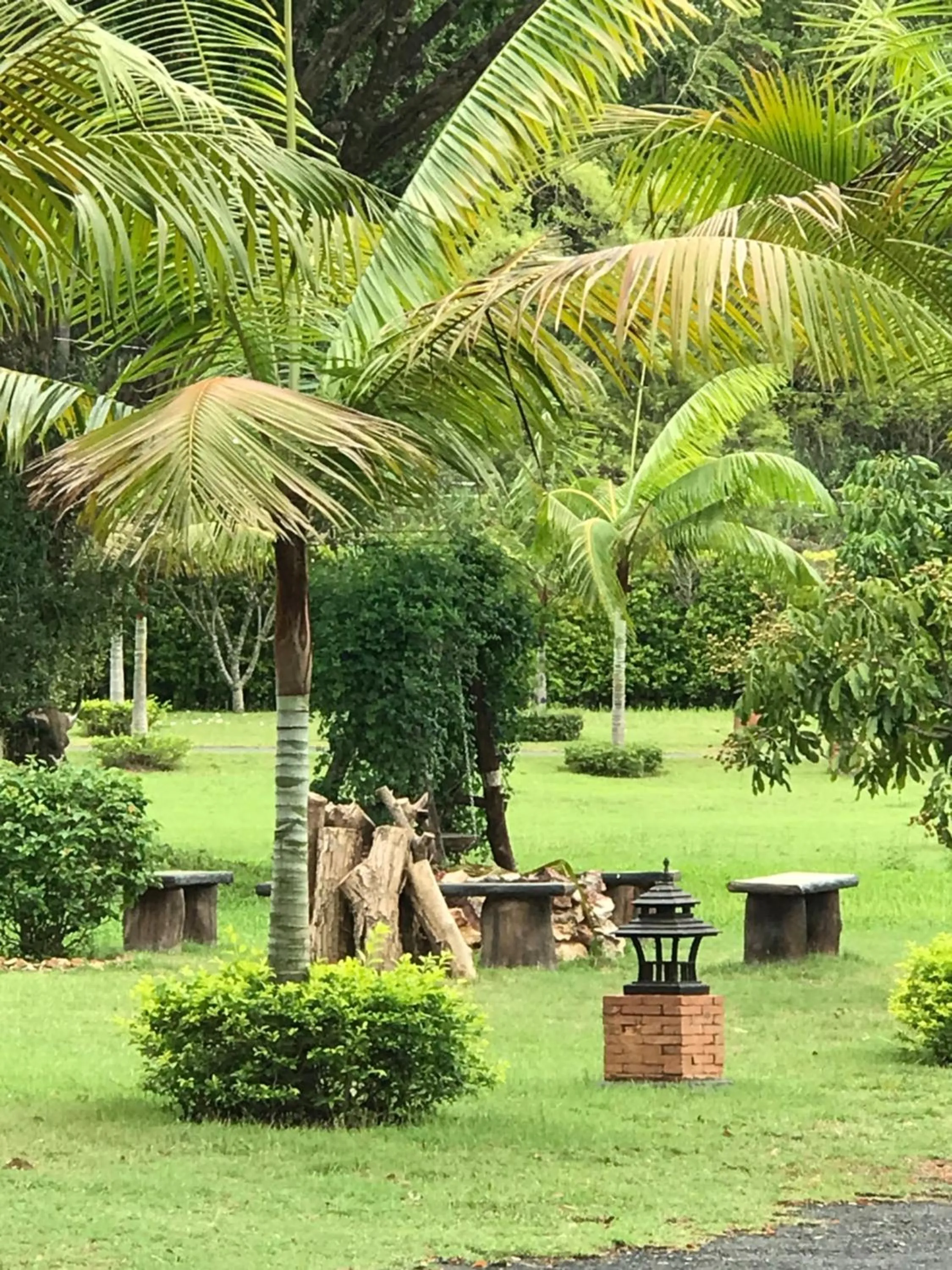 Activities in Papai Country Lodge SHA