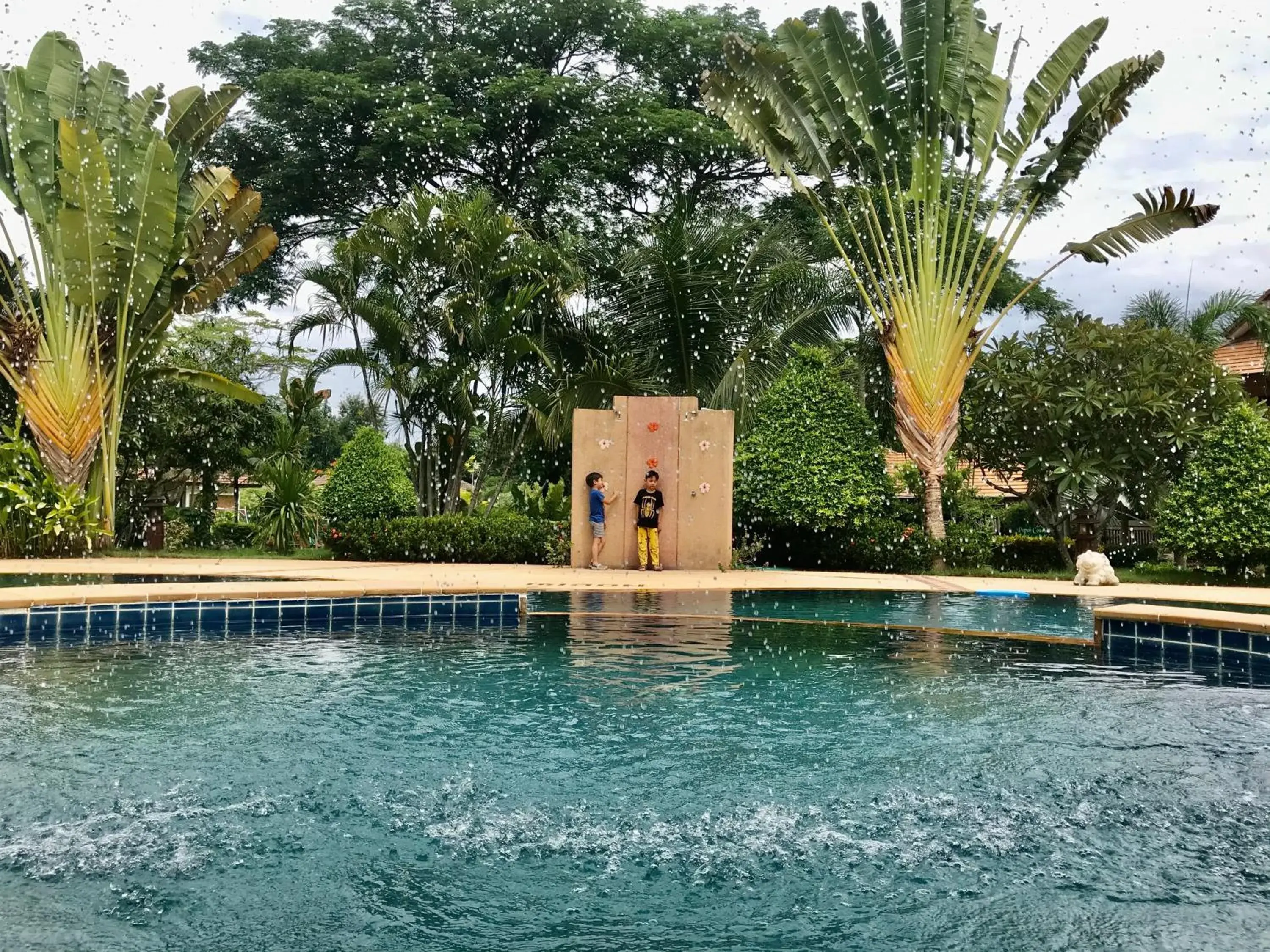 Swimming pool in Papai Country Lodge SHA Swimming pool in Papai Country Lodge SHA