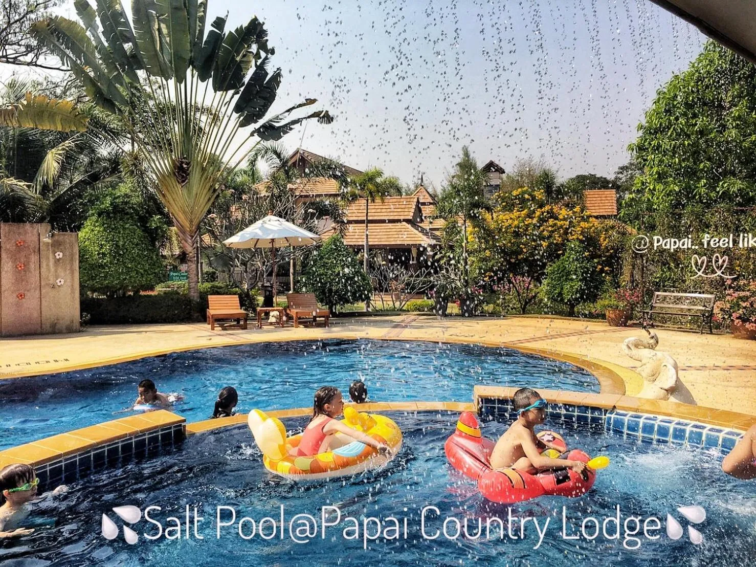 Swimming pool in Papai Country Lodge SHA