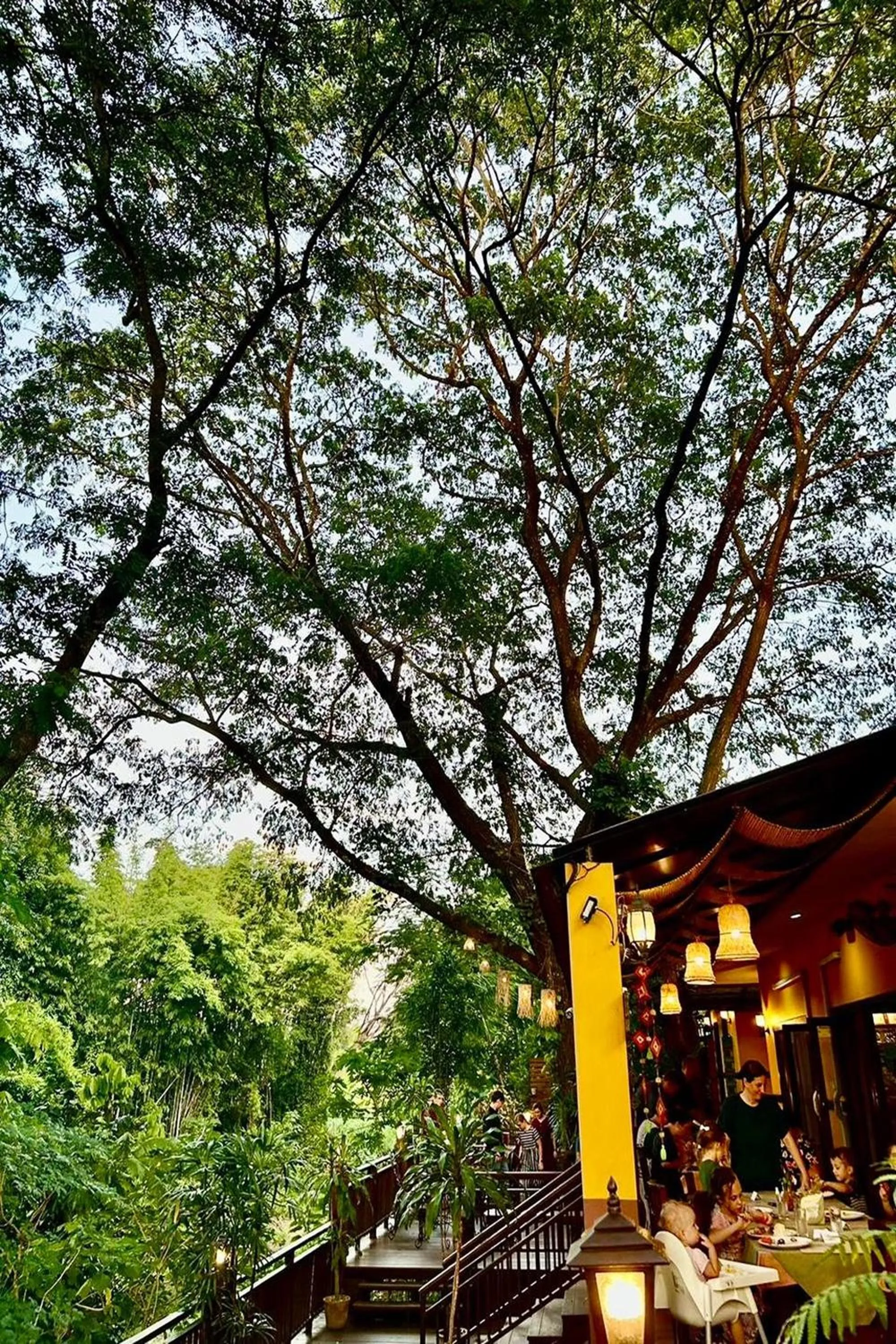 Garden view in Papai Country Lodge SHA