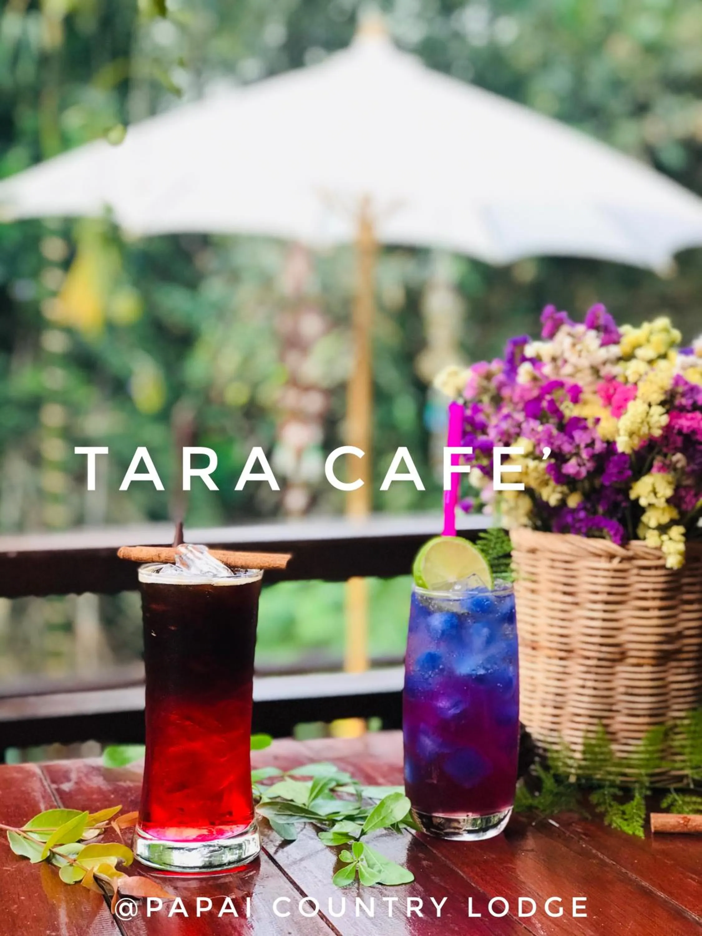 Property logo or sign in Papai Country Lodge SHA