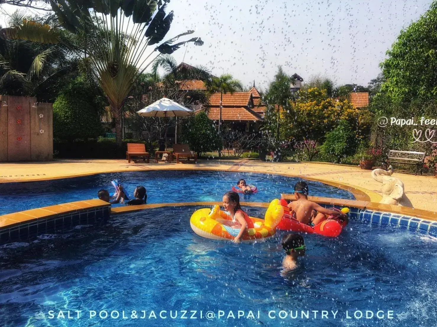 Swimming pool in Papai Country Lodge SHA Swimming pool in Papai Country Lodge SHA