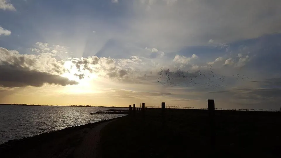 Area and facilities in B&B Hulleste