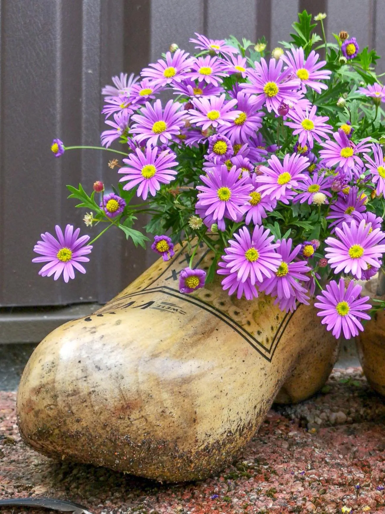 Balcony/Terrace in B&B Hulleste