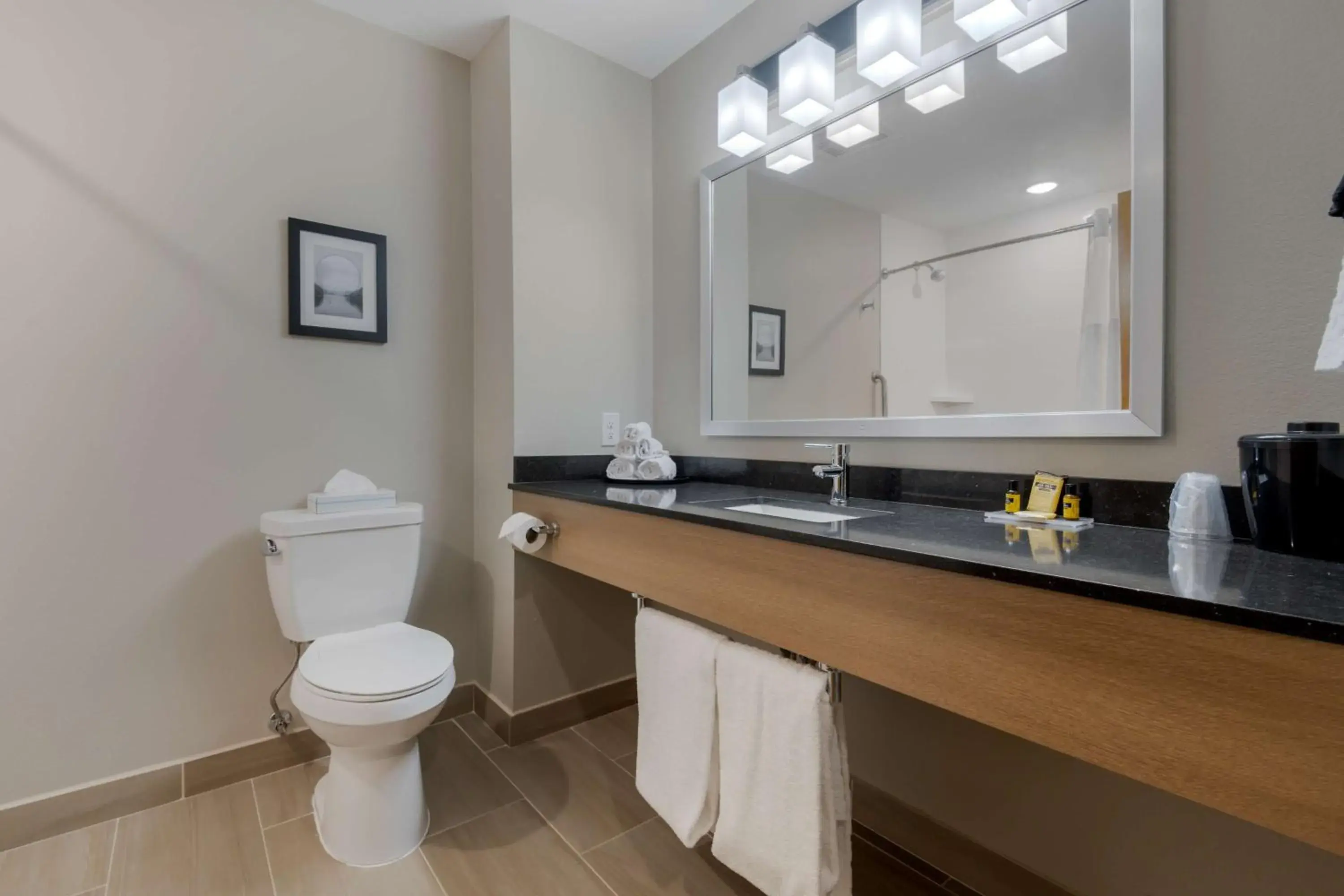 Bathroom in Best Western Plus Rumford Falls Bathroom in Best Western Plus Rumford Falls