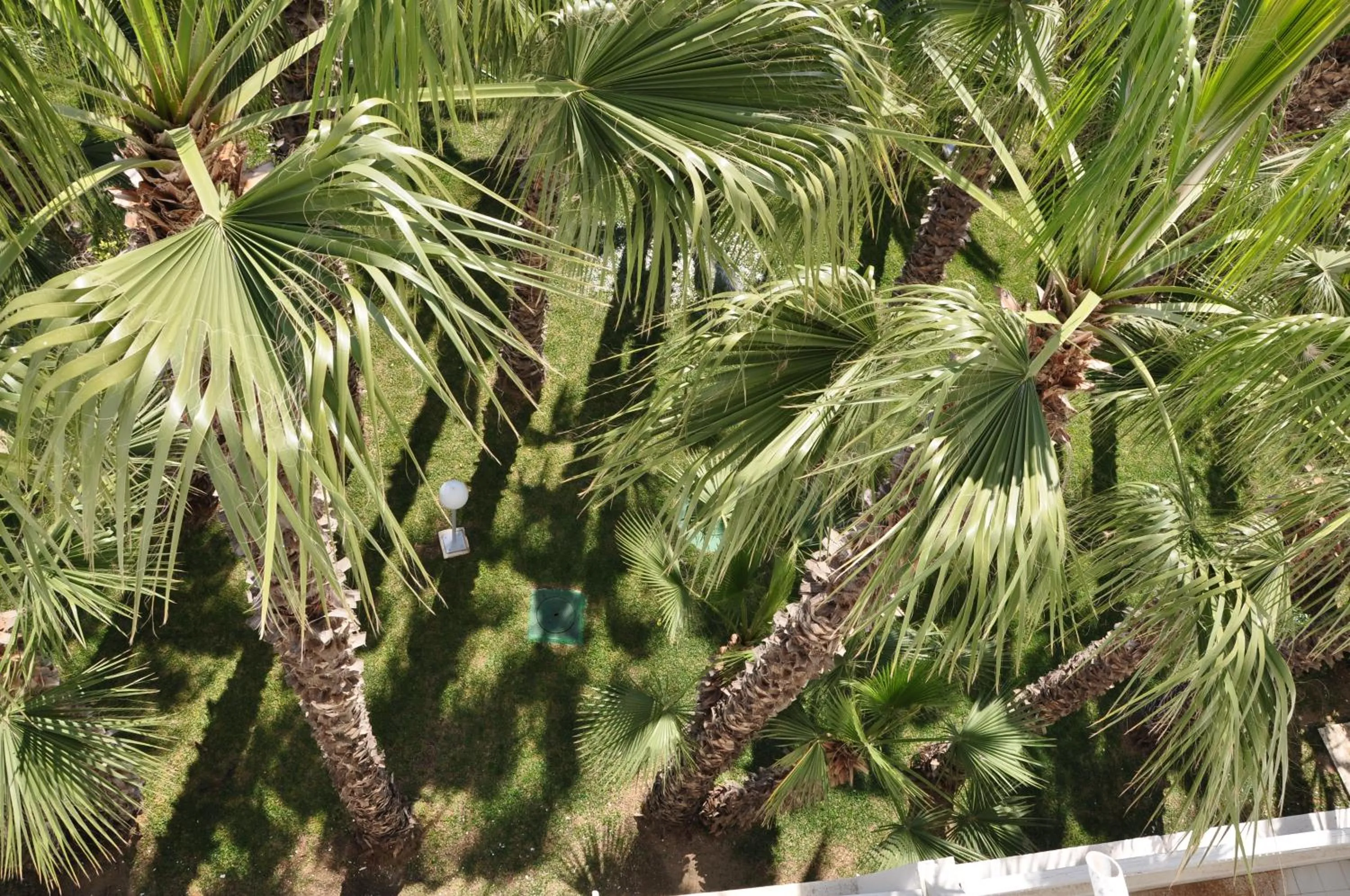 Garden in Kanta Resort and Spa