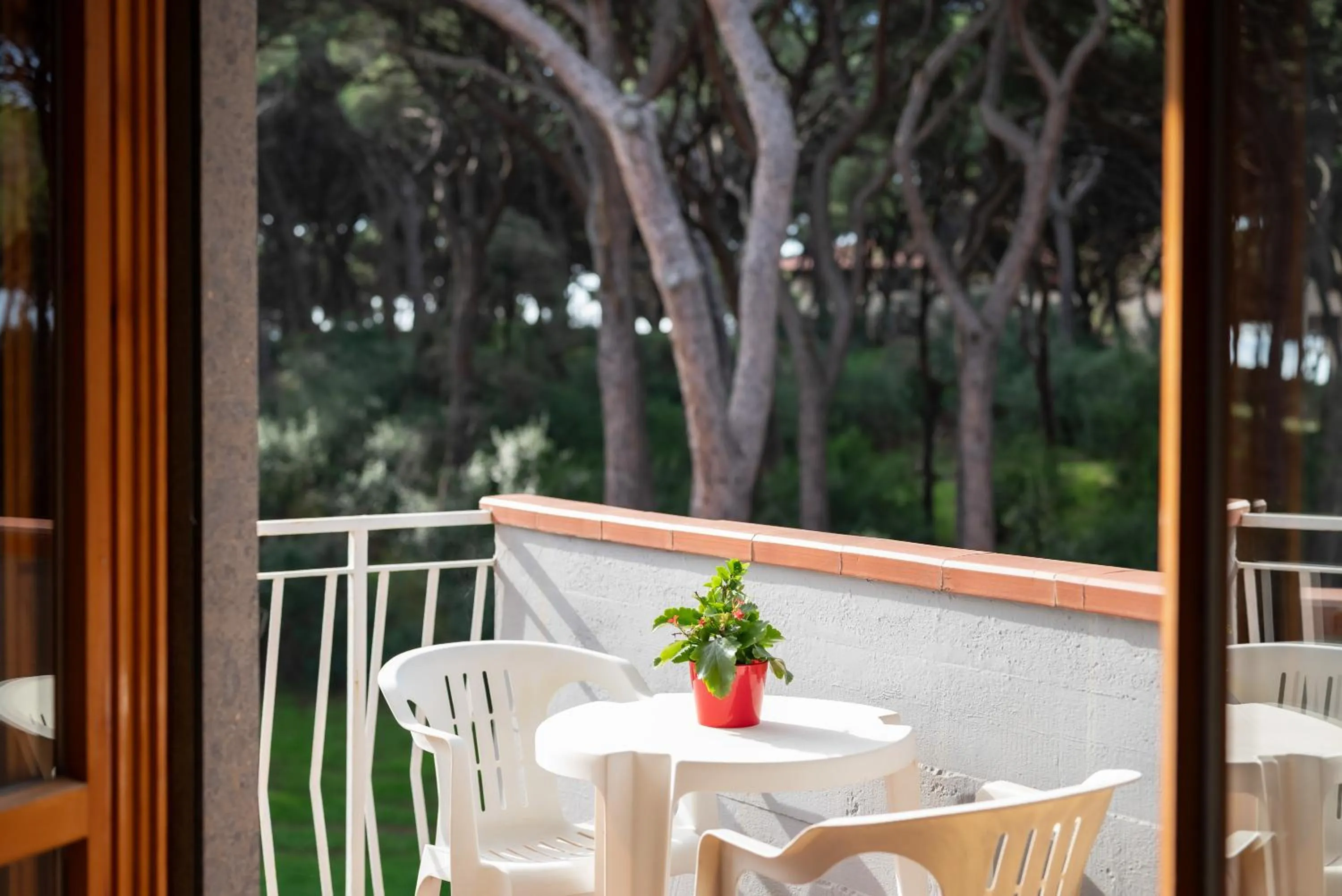 View (from property/room) in Hotel Parco dei Pini - 100mt dal Mare