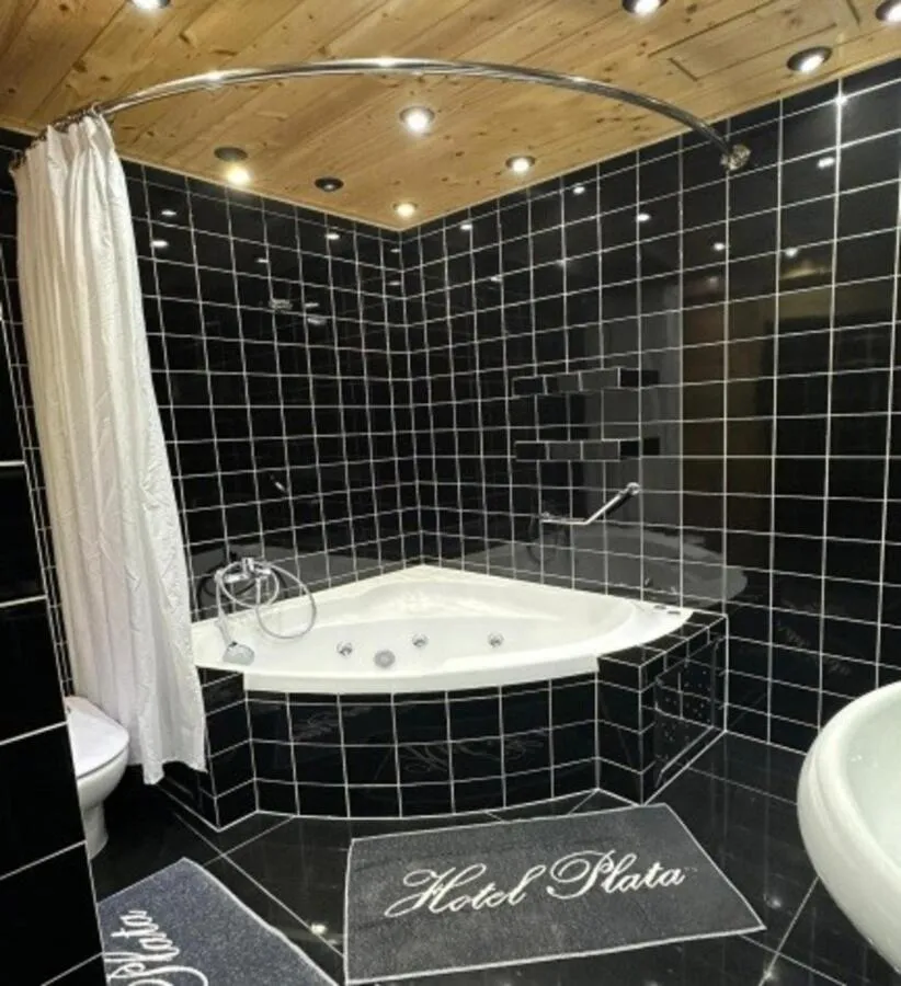 Toilet in Hotel Plata