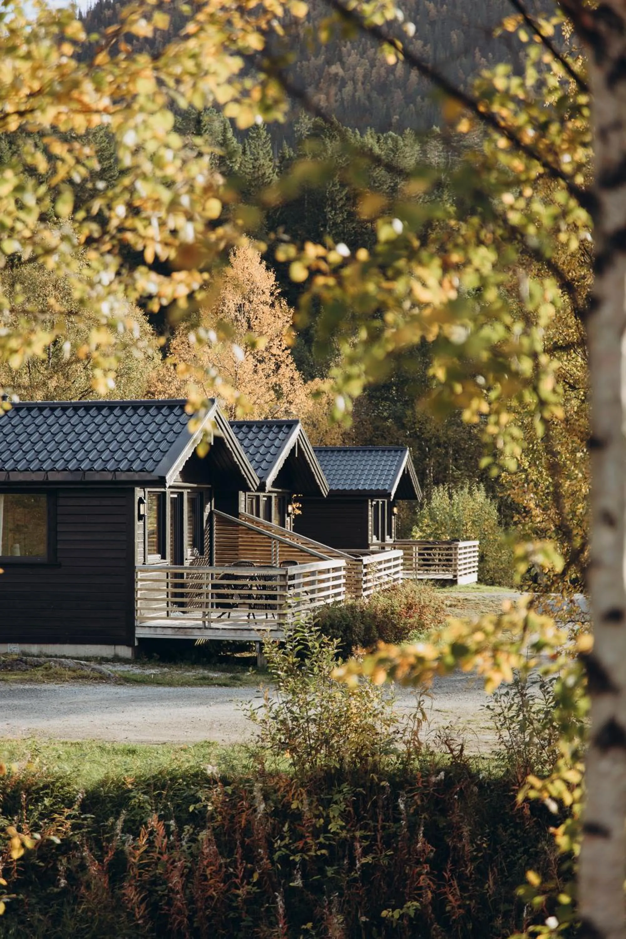 Yttervik