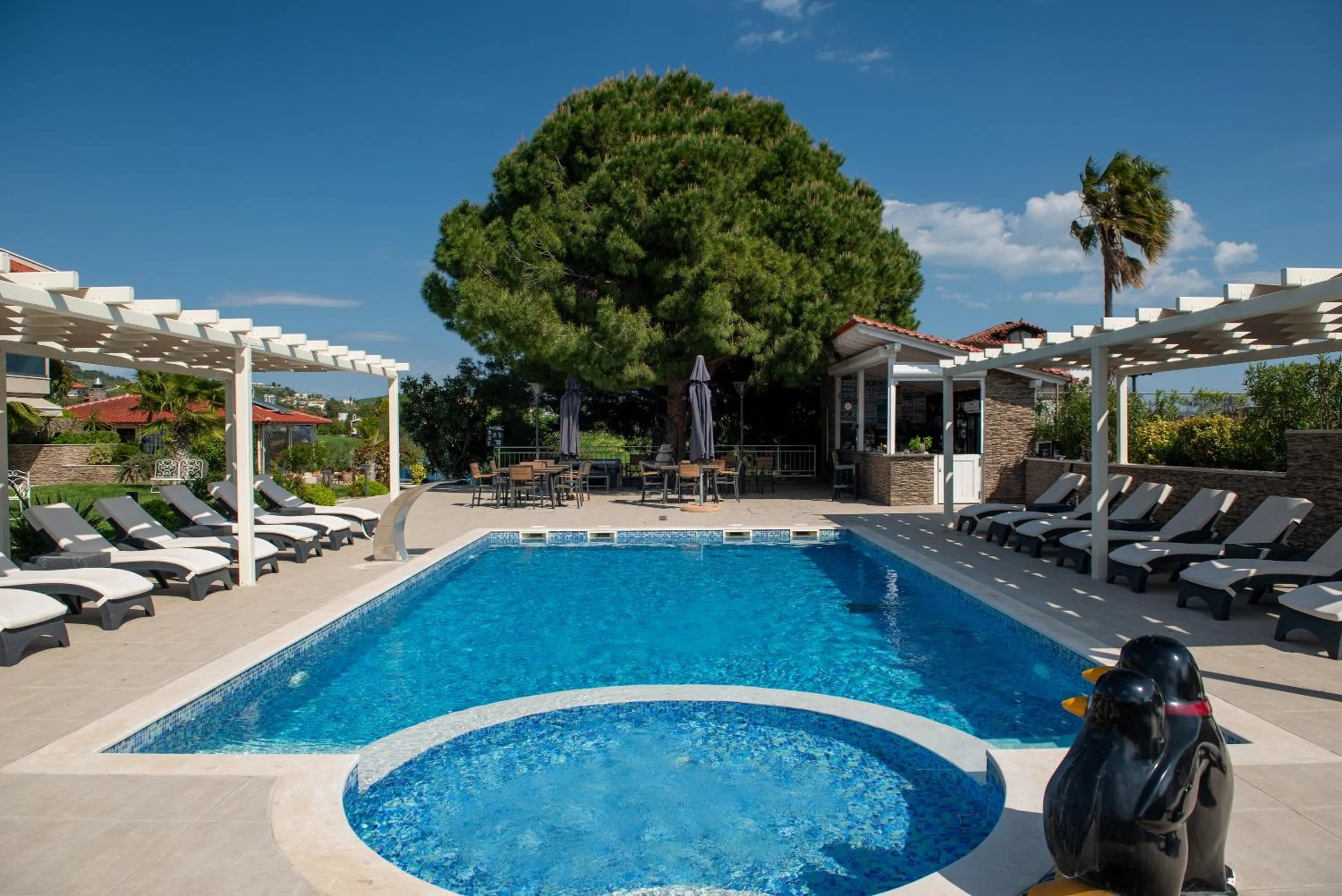 Swimming pool in Villa Sara