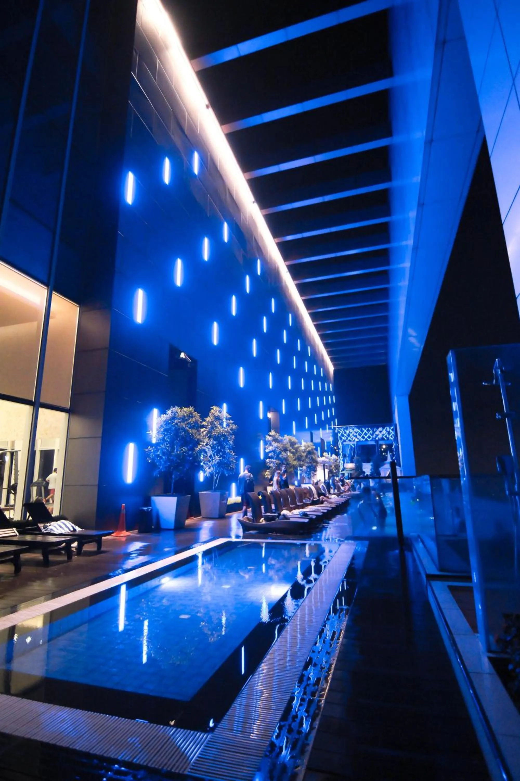 Swimming pool in Dolphin Platinum KLCC Kuala Lumpur