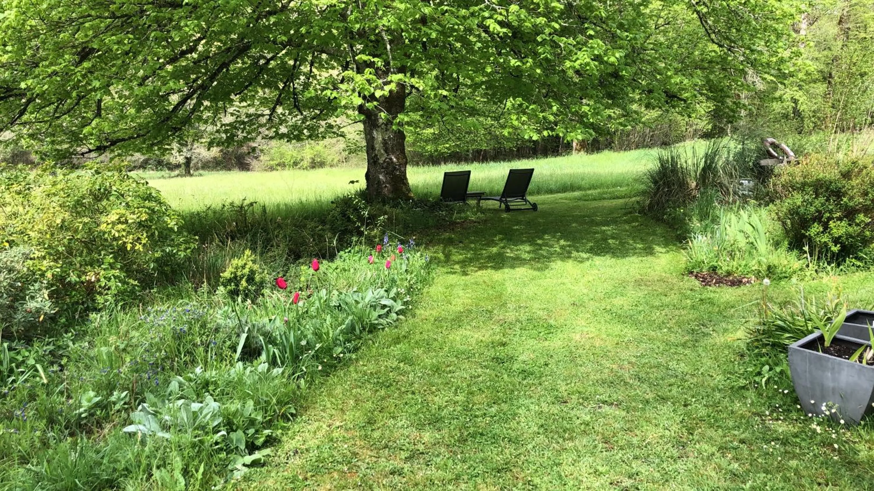 Natural landscape in MaBelle rêve B&B