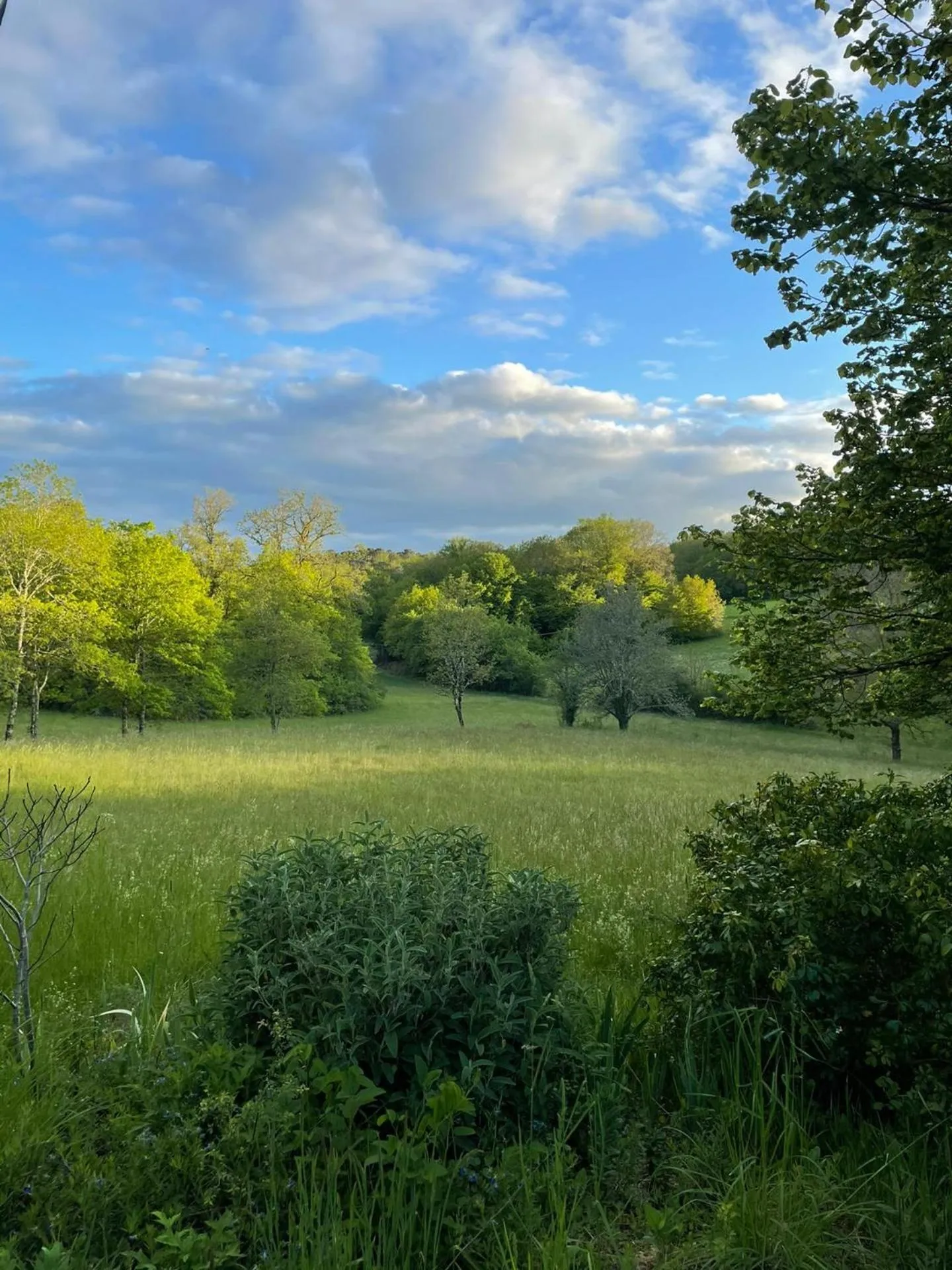 Spring in MaBelle rêve B&B
