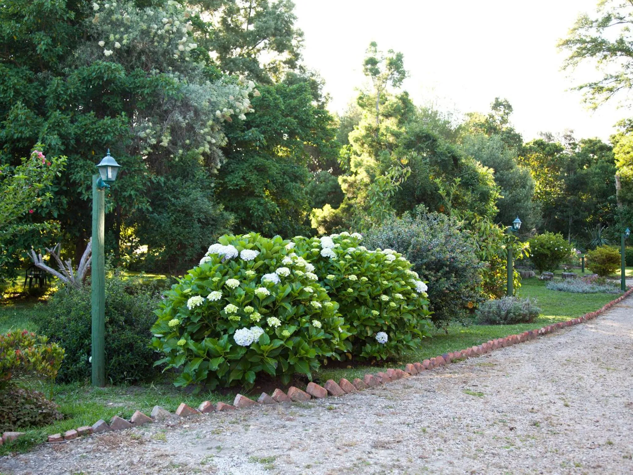 Garden in Andelomi Forest Lodge