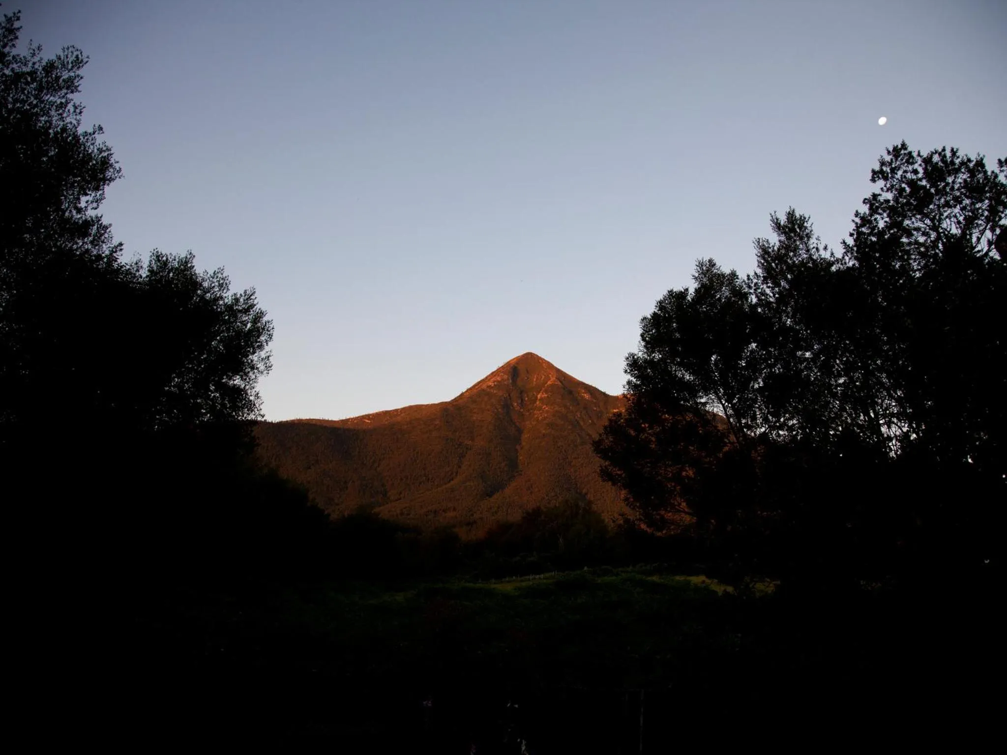 View (from property/room) in Andelomi Forest Lodge