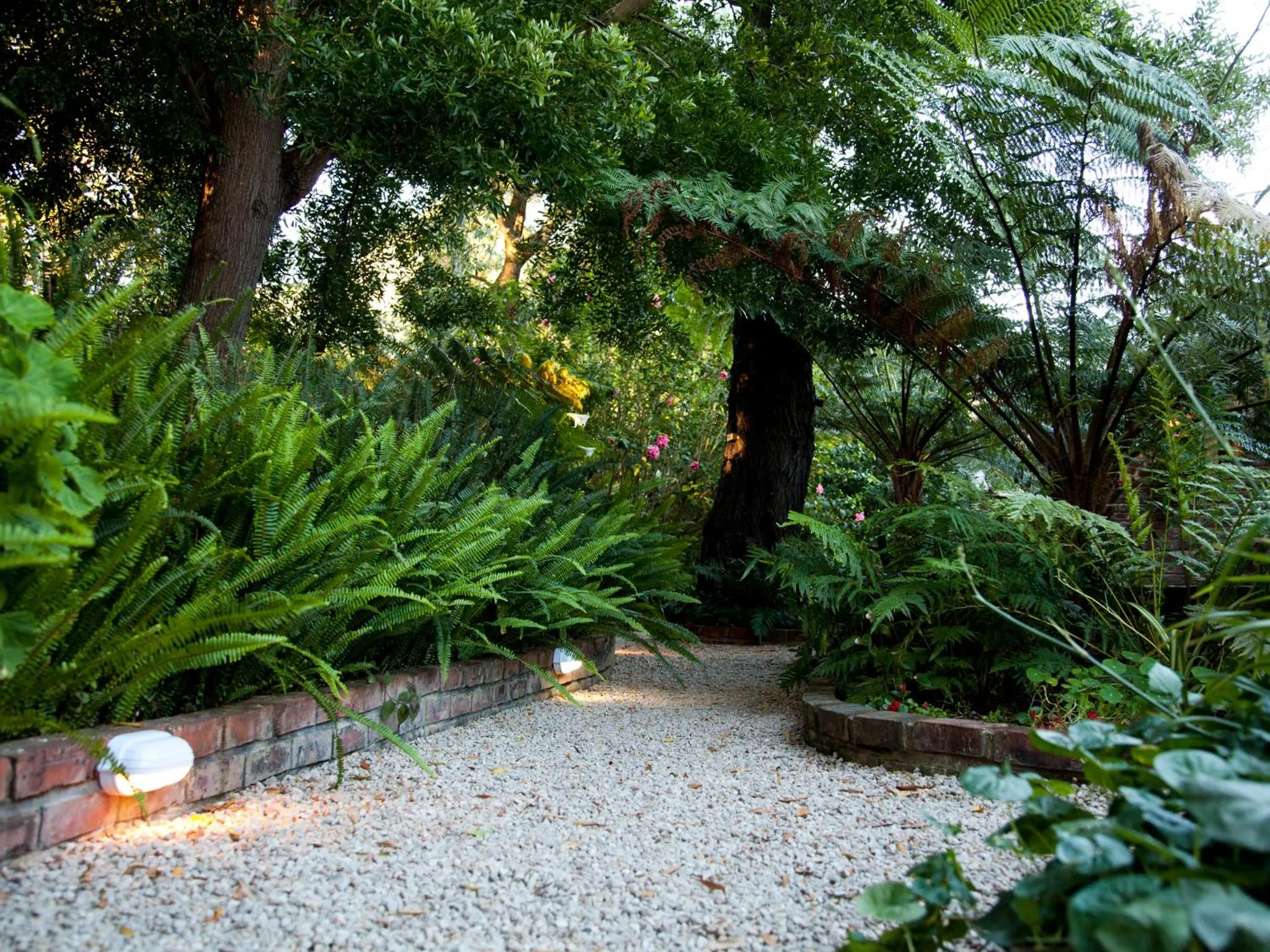 Garden in Andelomi Forest Lodge