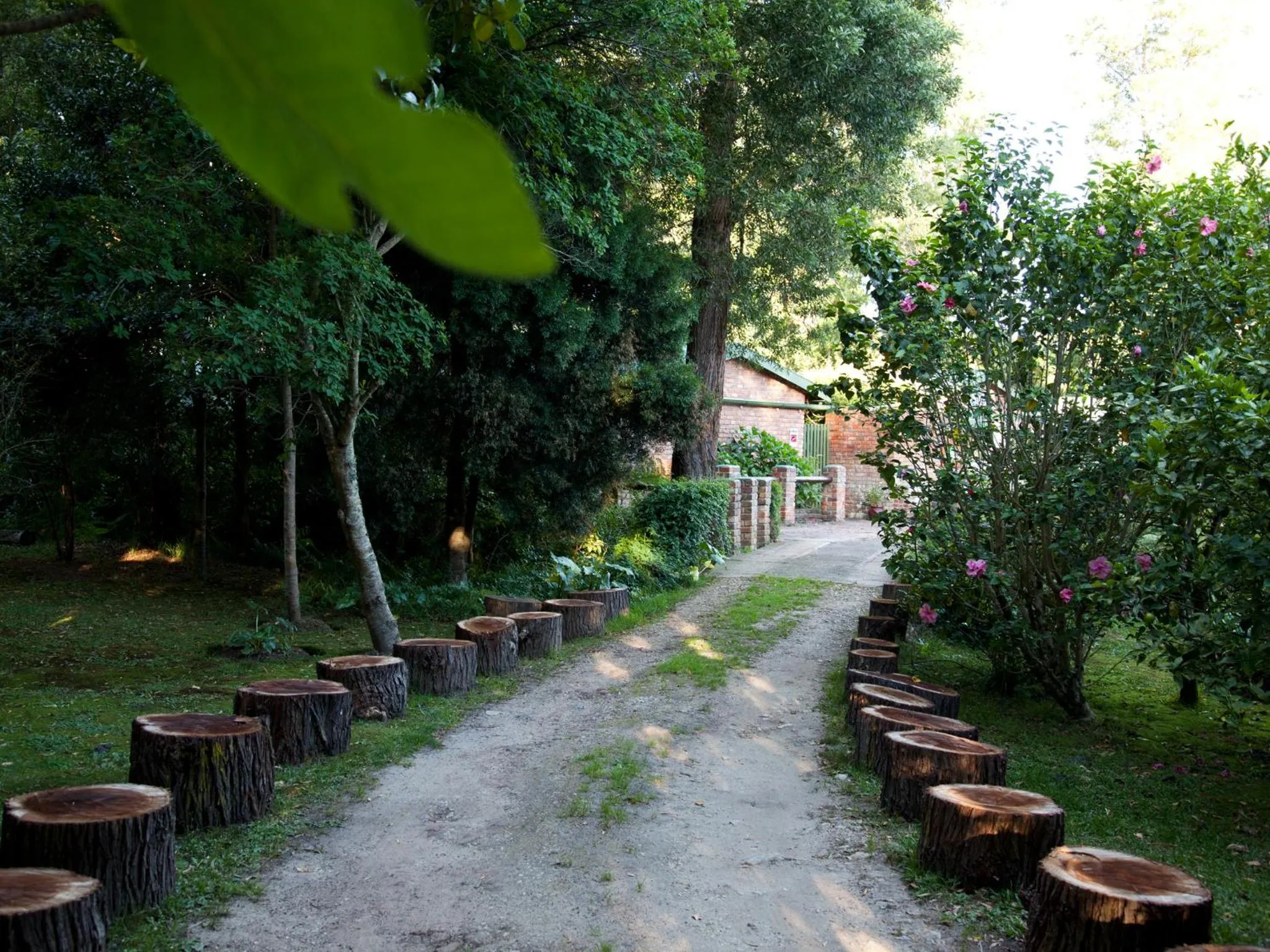 Facade/entrance in Andelomi Forest Lodge