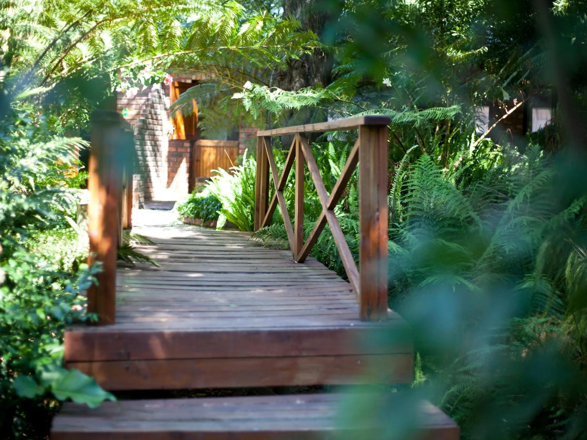 Garden in Andelomi Forest Lodge