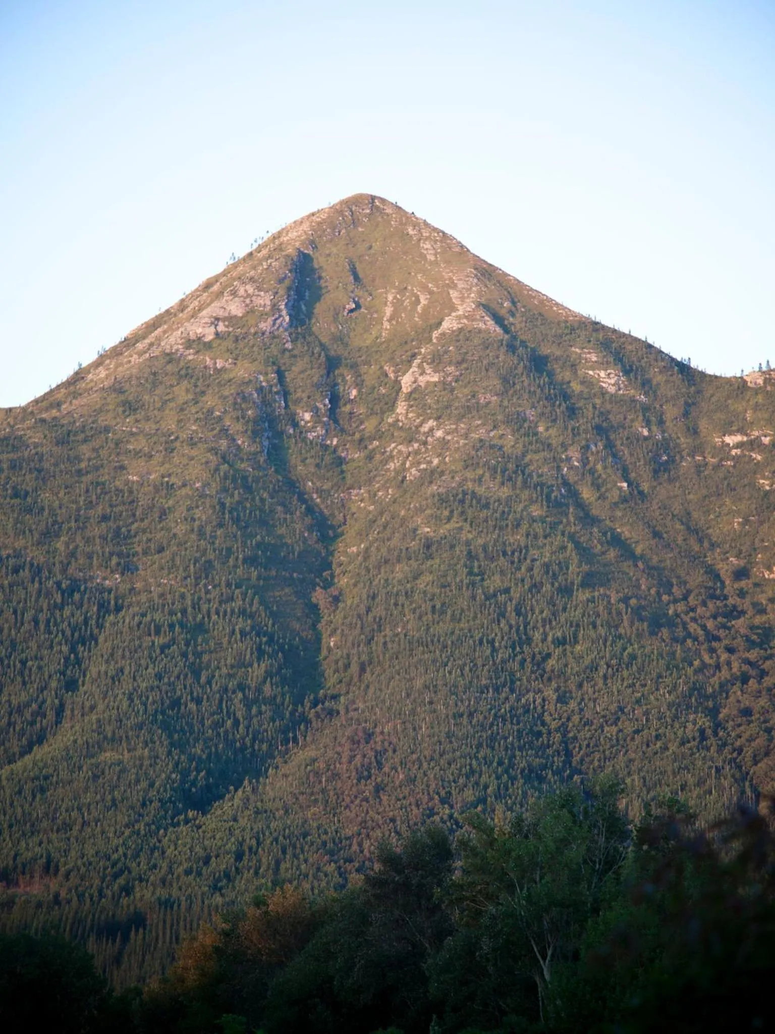 View (from property/room) in Andelomi Forest Lodge