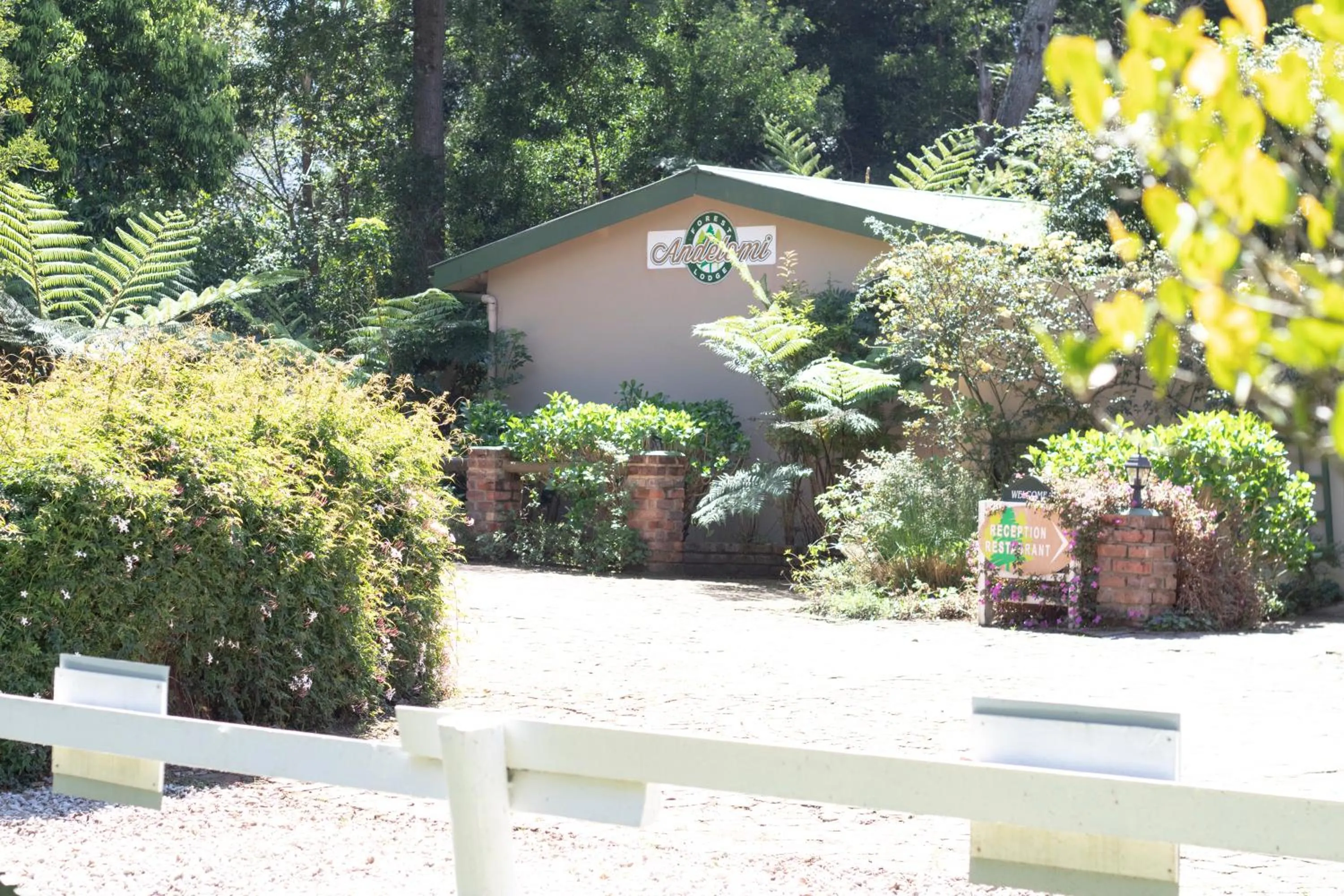 Facade/entrance in Andelomi Forest Lodge