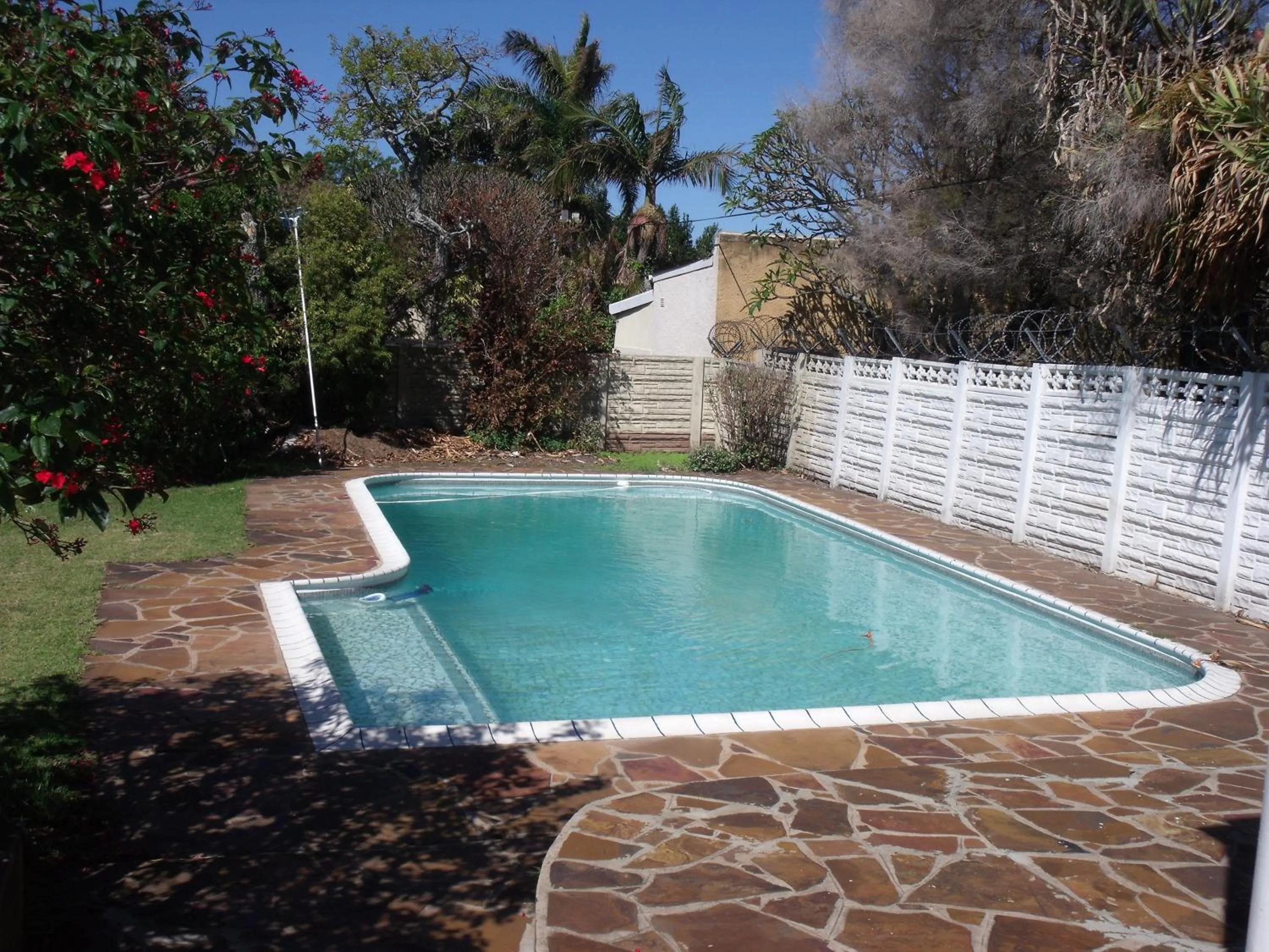 Swimming pool in Rainbow Guesthouse