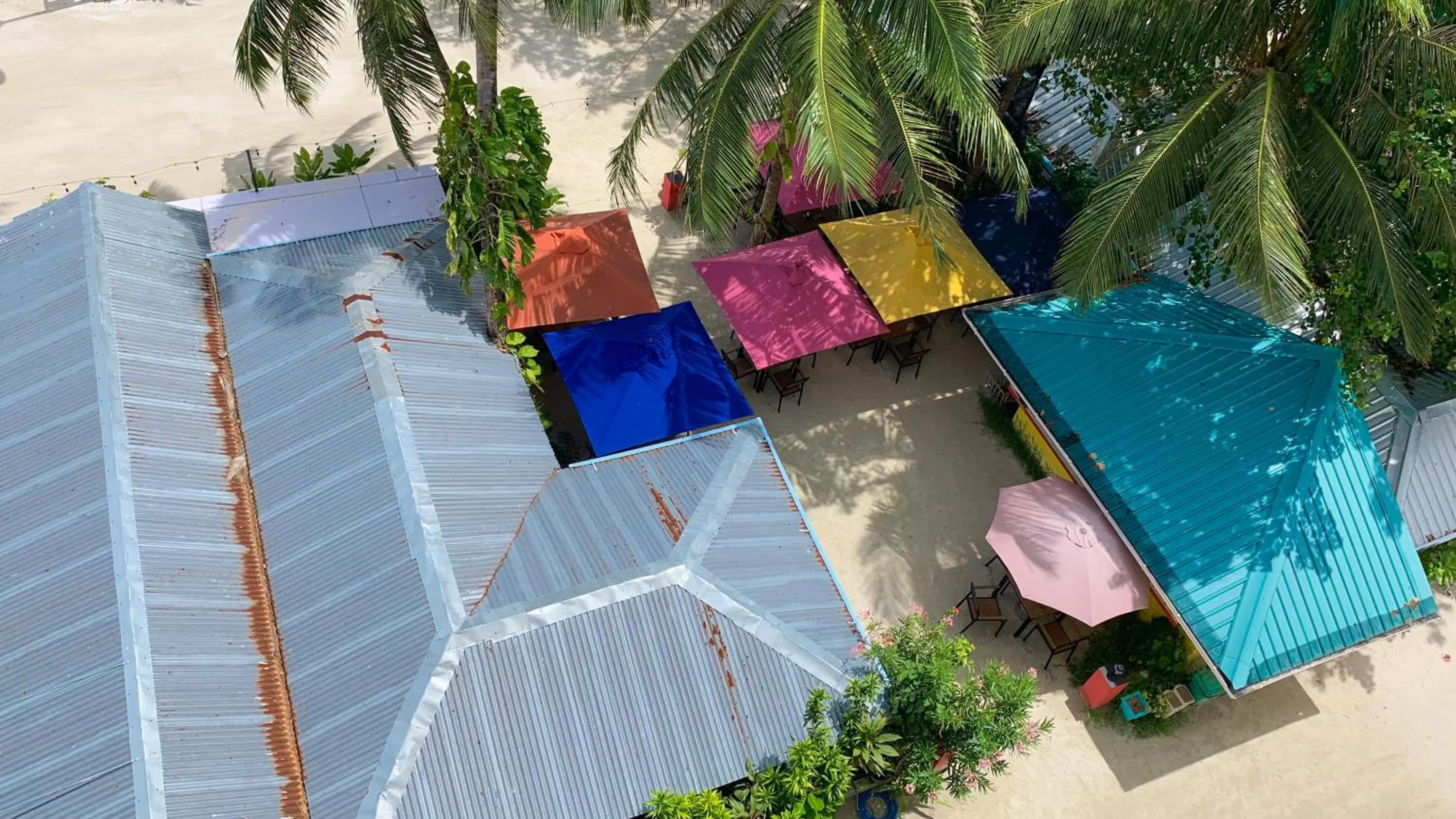 Garden in iCom Marina Sea View