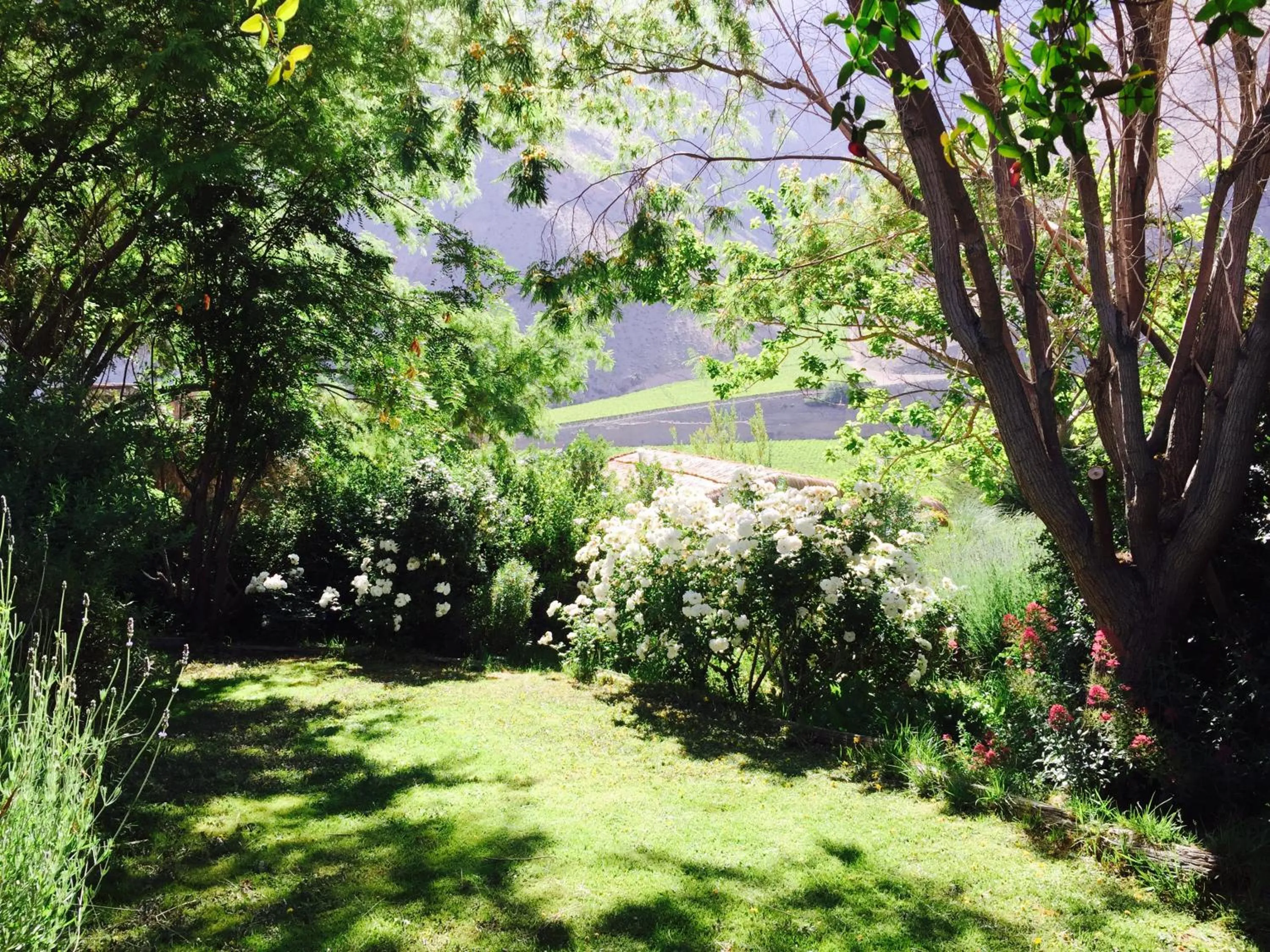 Garden view in Hotel Misterios del Elqui