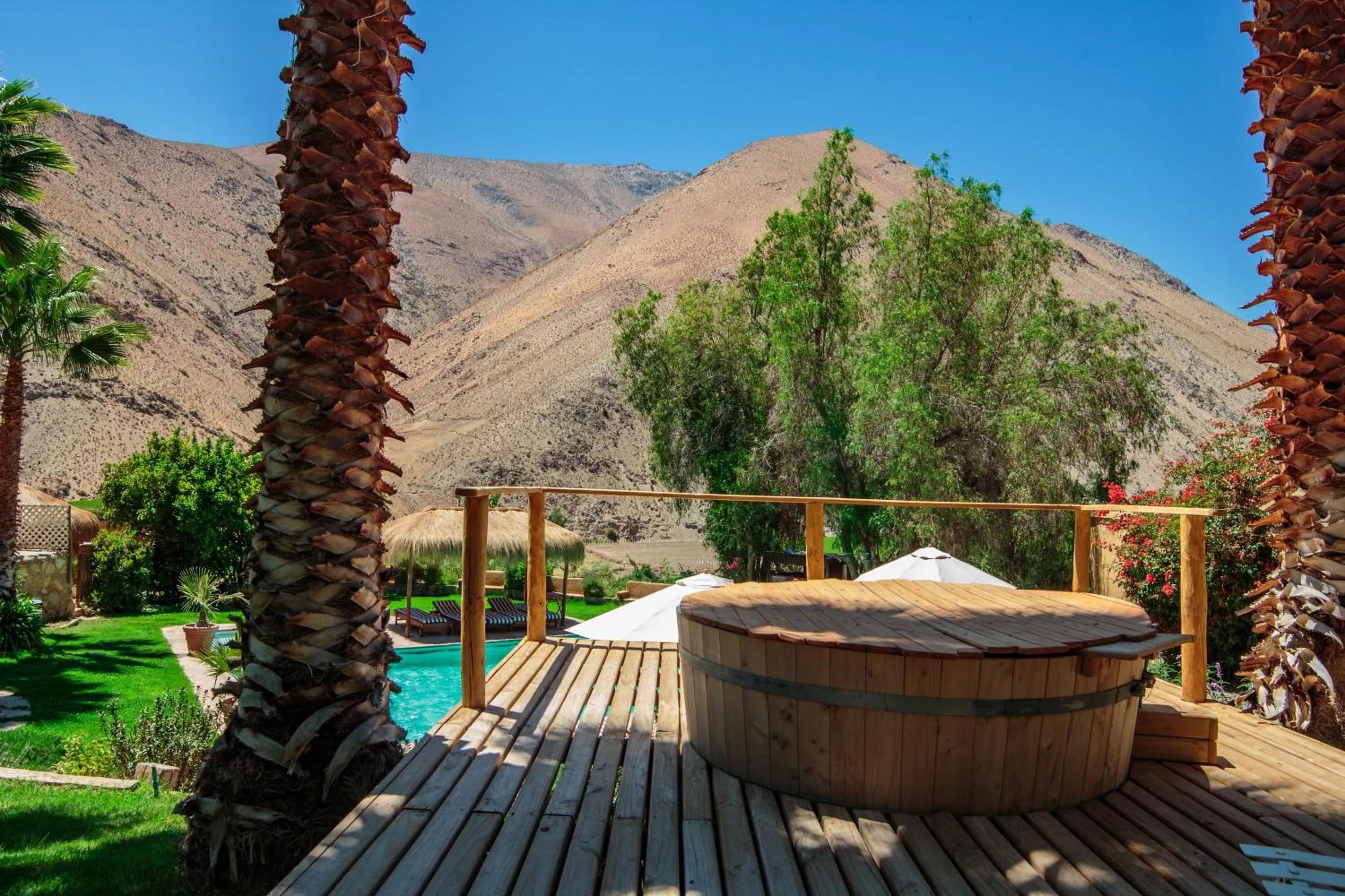Garden in Hotel Misterios del Elqui
