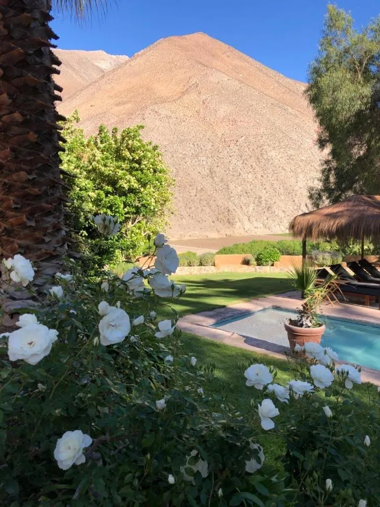 Garden in Hotel Misterios del Elqui