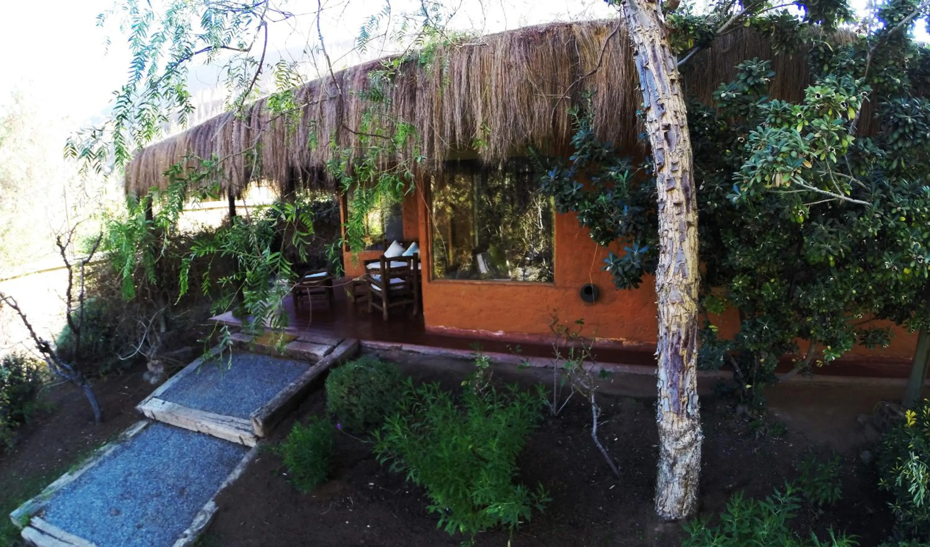 Photo of the whole room in Hotel Misterios del Elqui