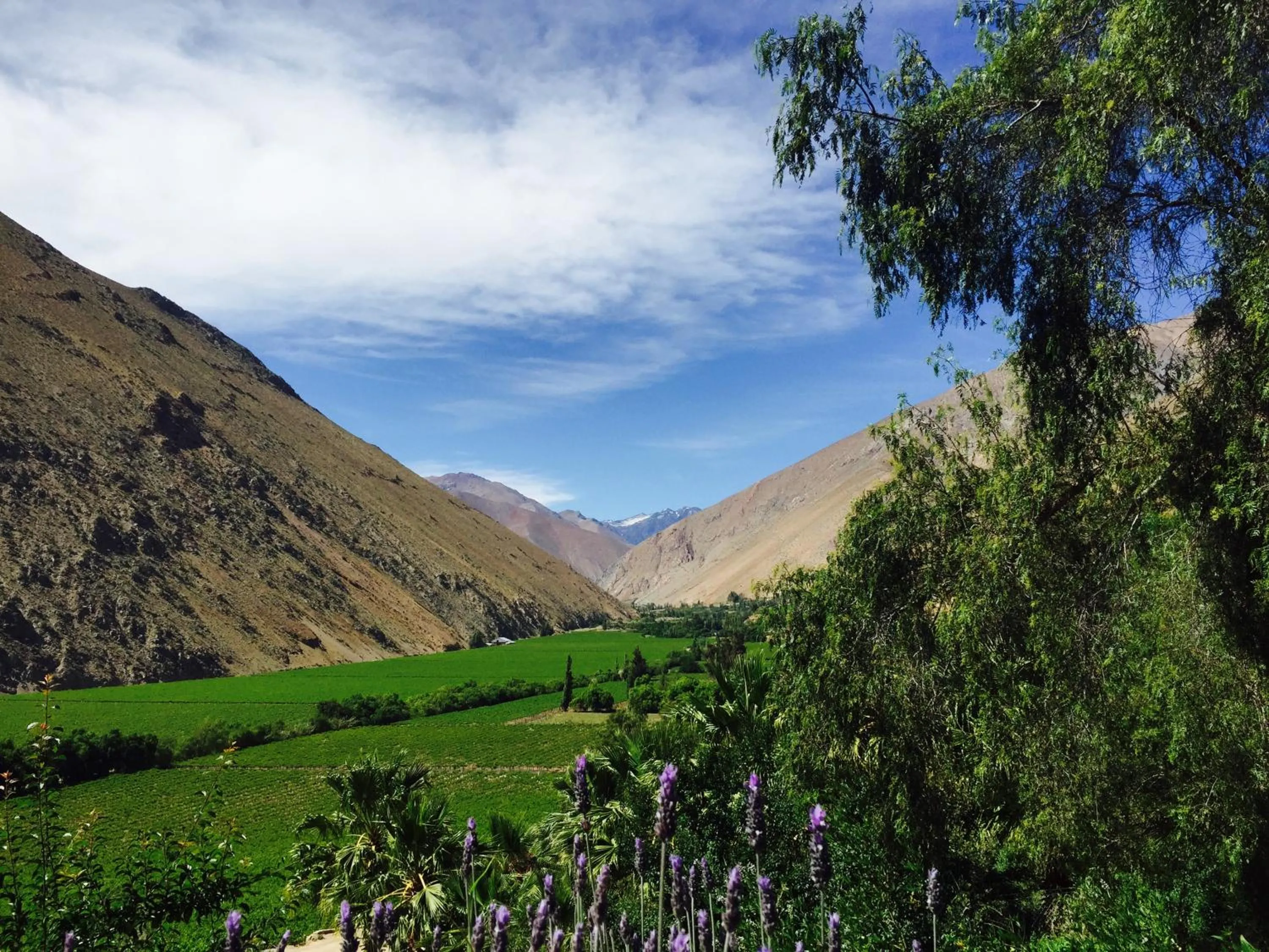 Mountain view in Hotel Misterios del Elqui