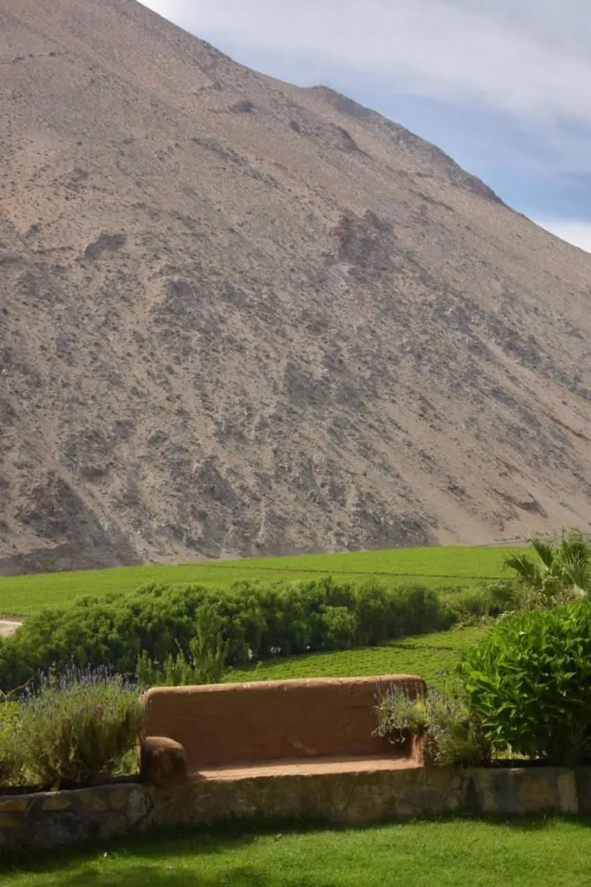Natural landscape in Hotel Misterios del Elqui