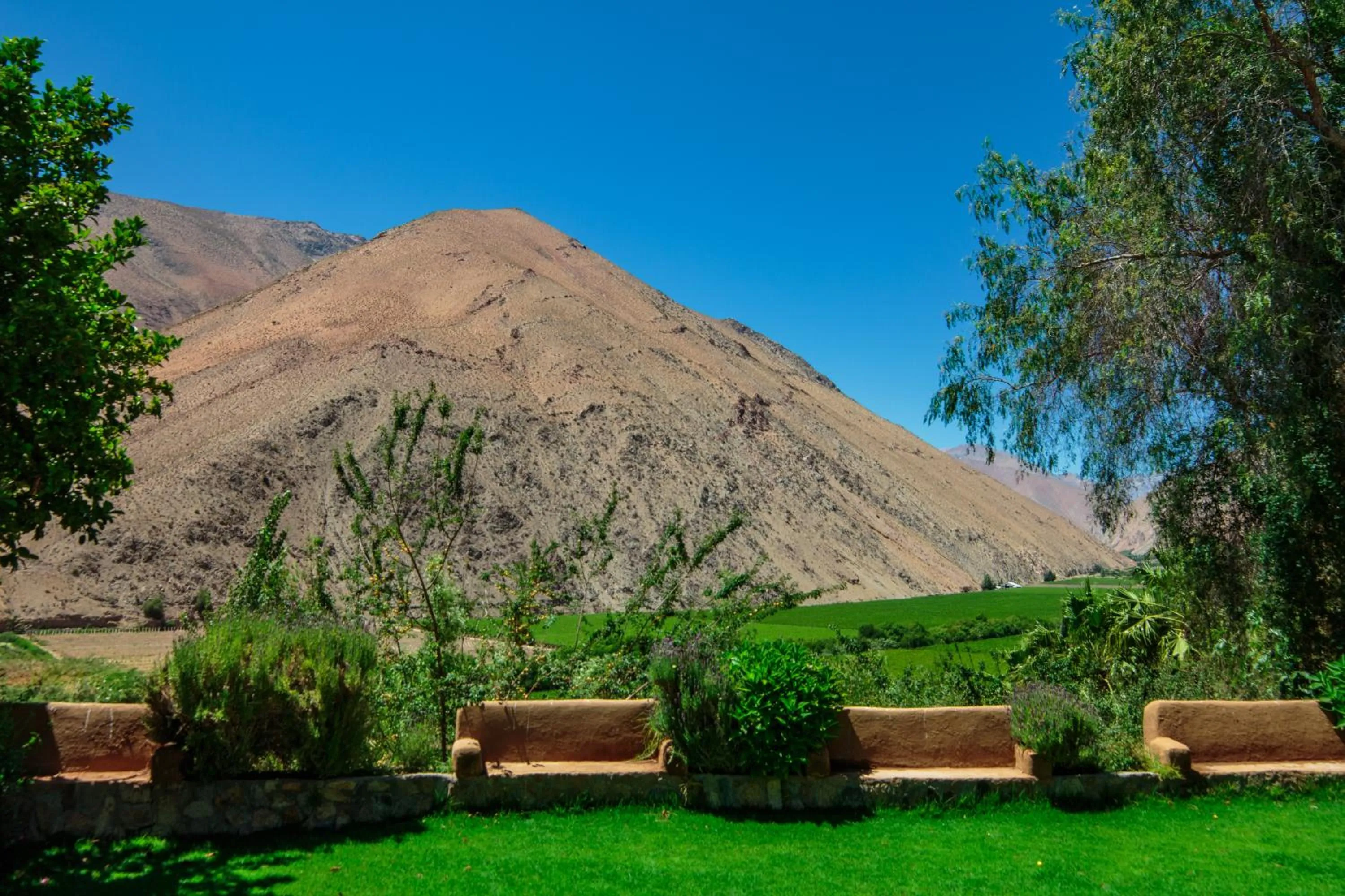 Garden in Hotel Misterios del Elqui