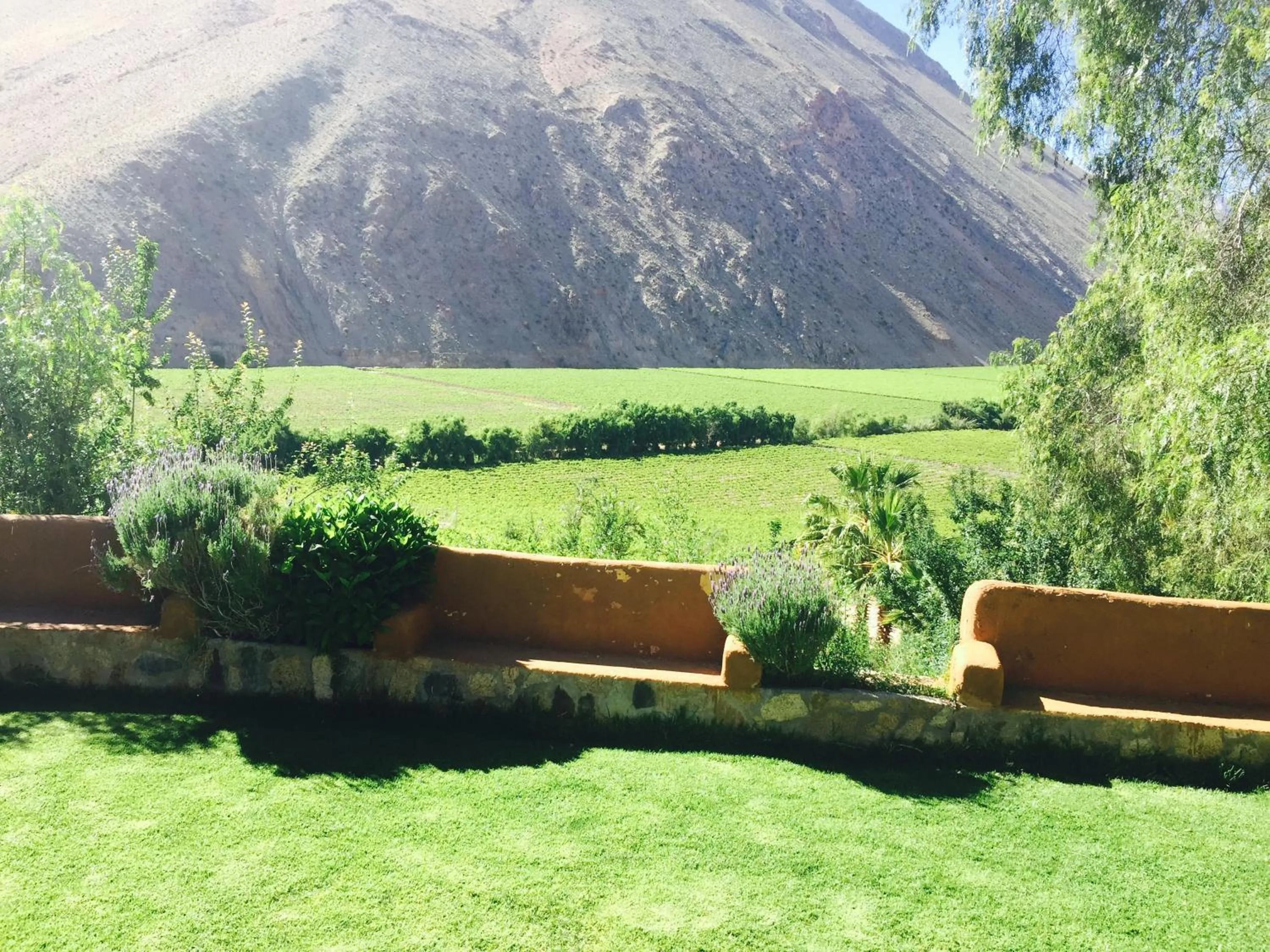 Property building in Hotel Misterios del Elqui