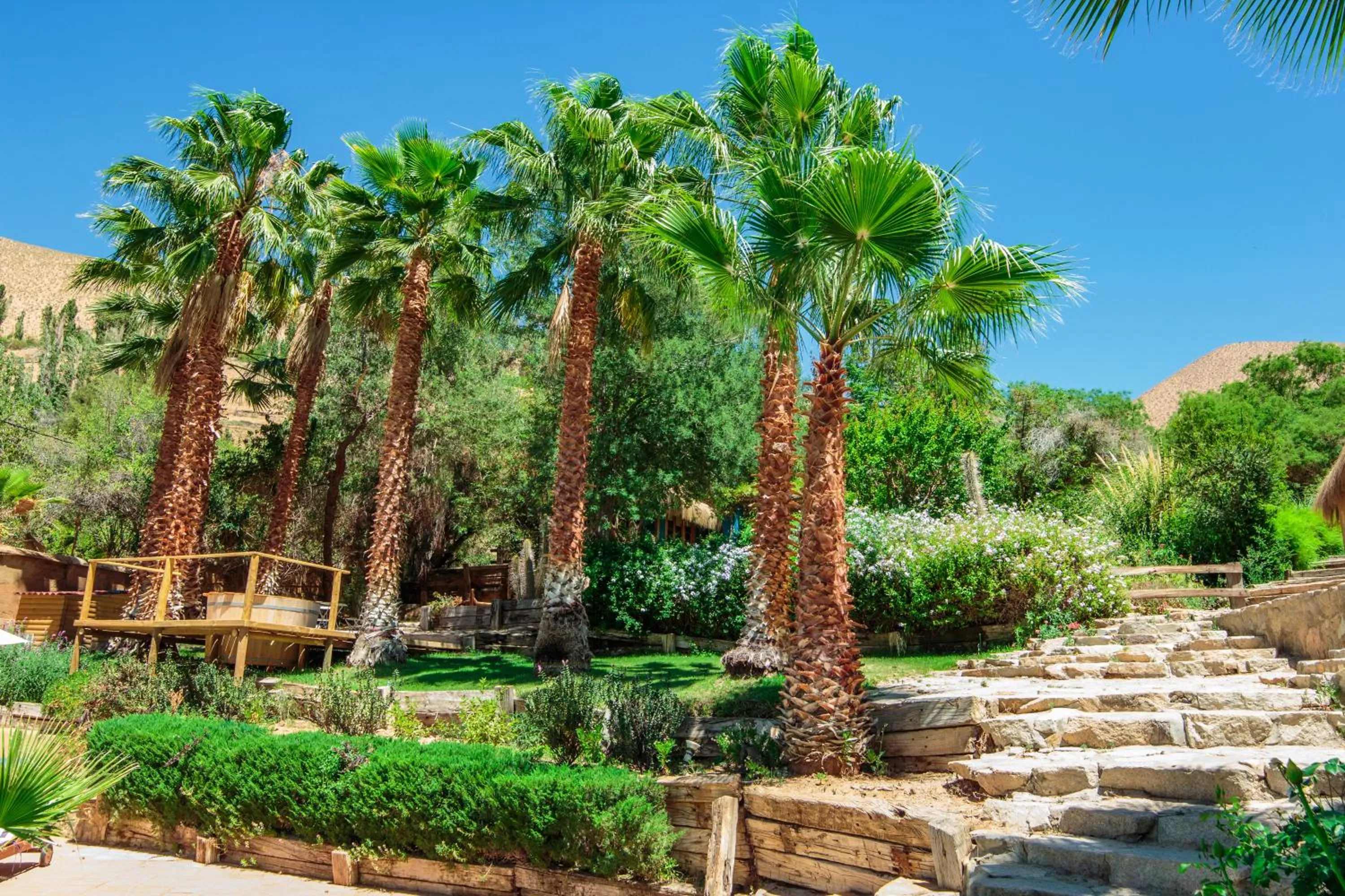 Garden in Hotel Misterios del Elqui