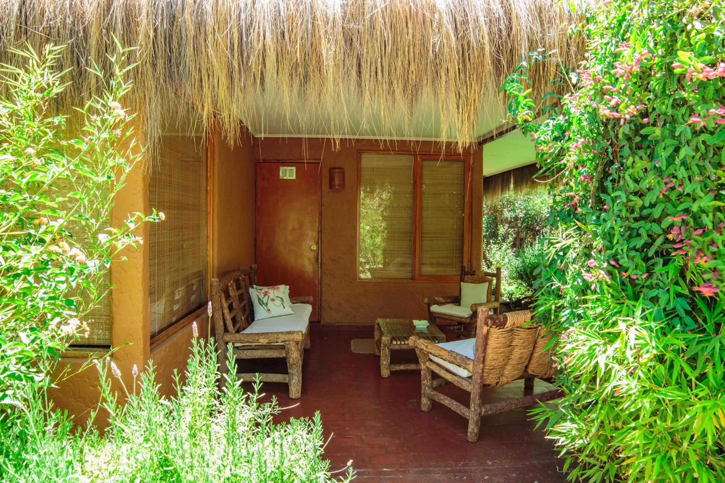 Photo of the whole room in Hotel Misterios del Elqui