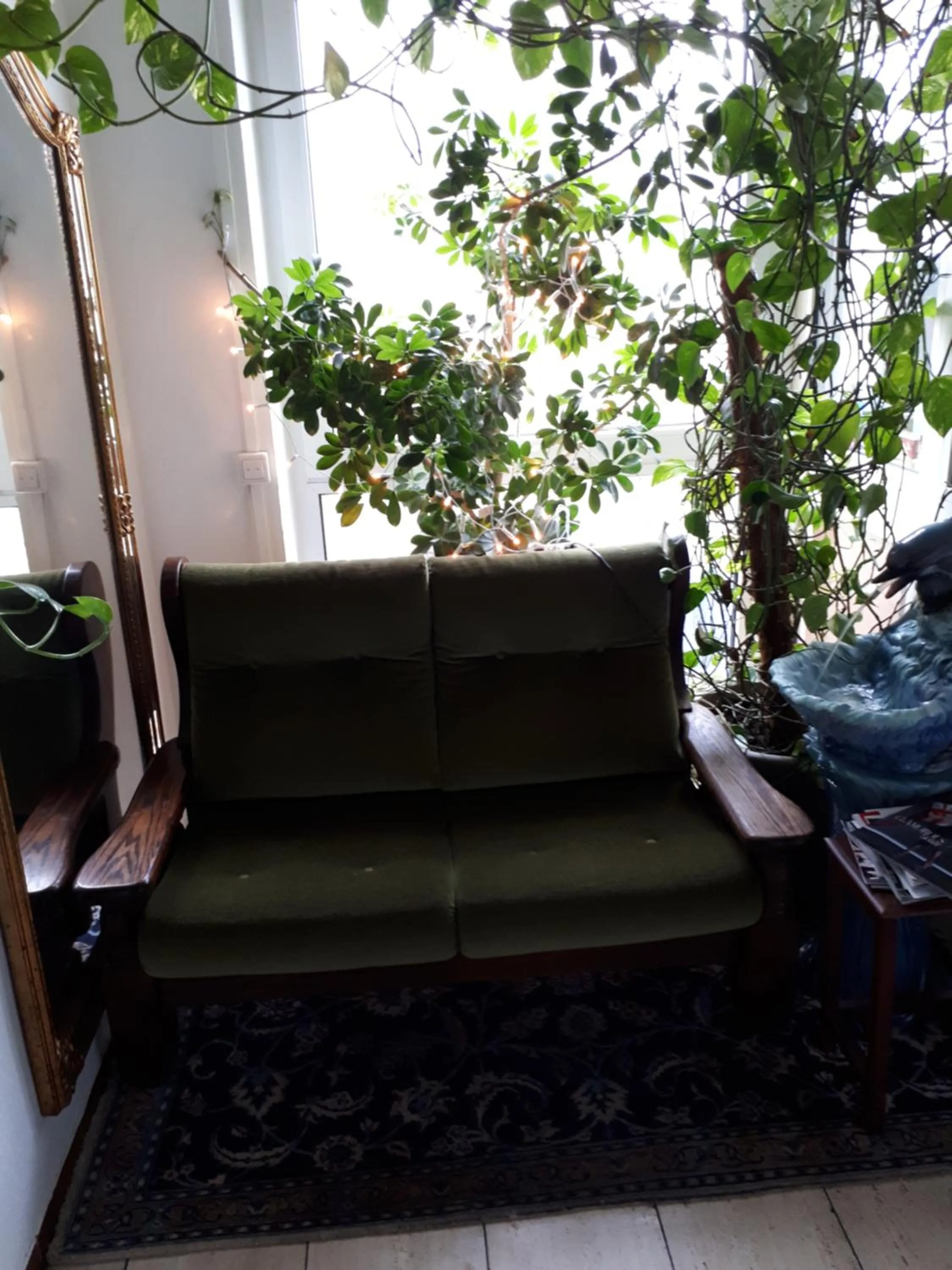 Area and facilities in Hotel Restaurant Anna