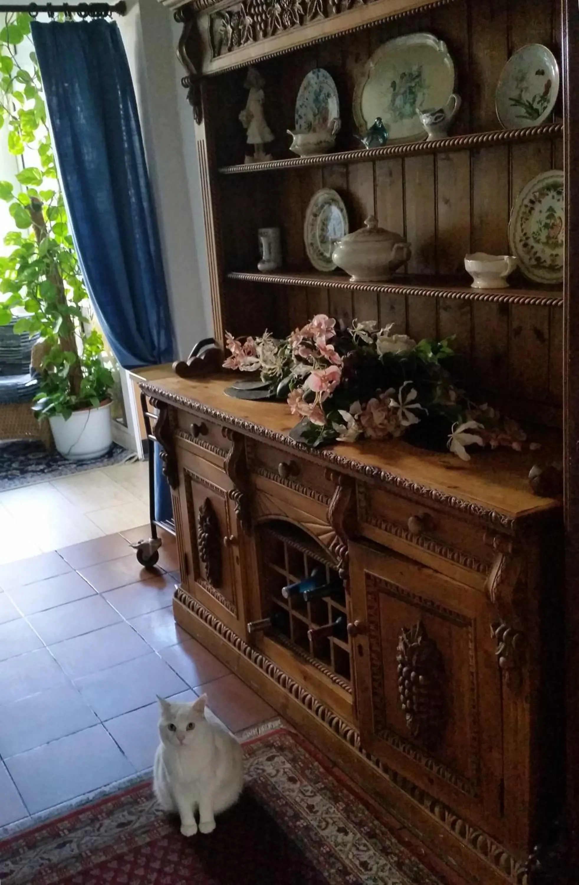 Pets in Hotel Restaurant Anna