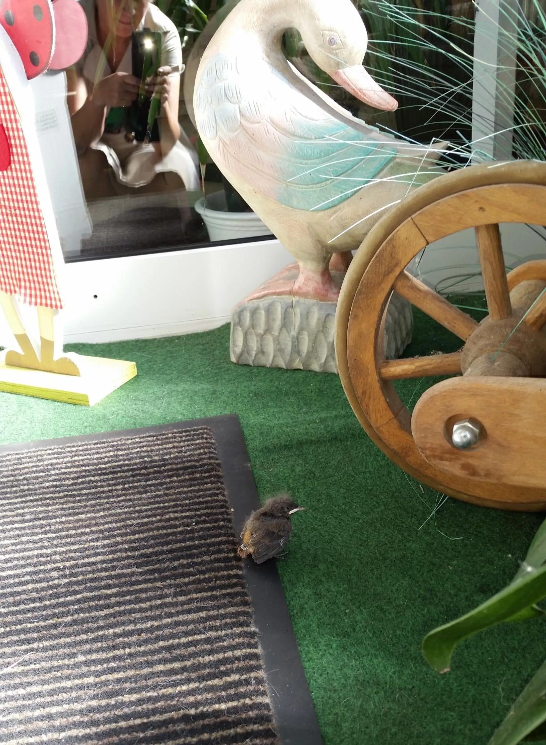 Animals in Hotel Restaurant Anna