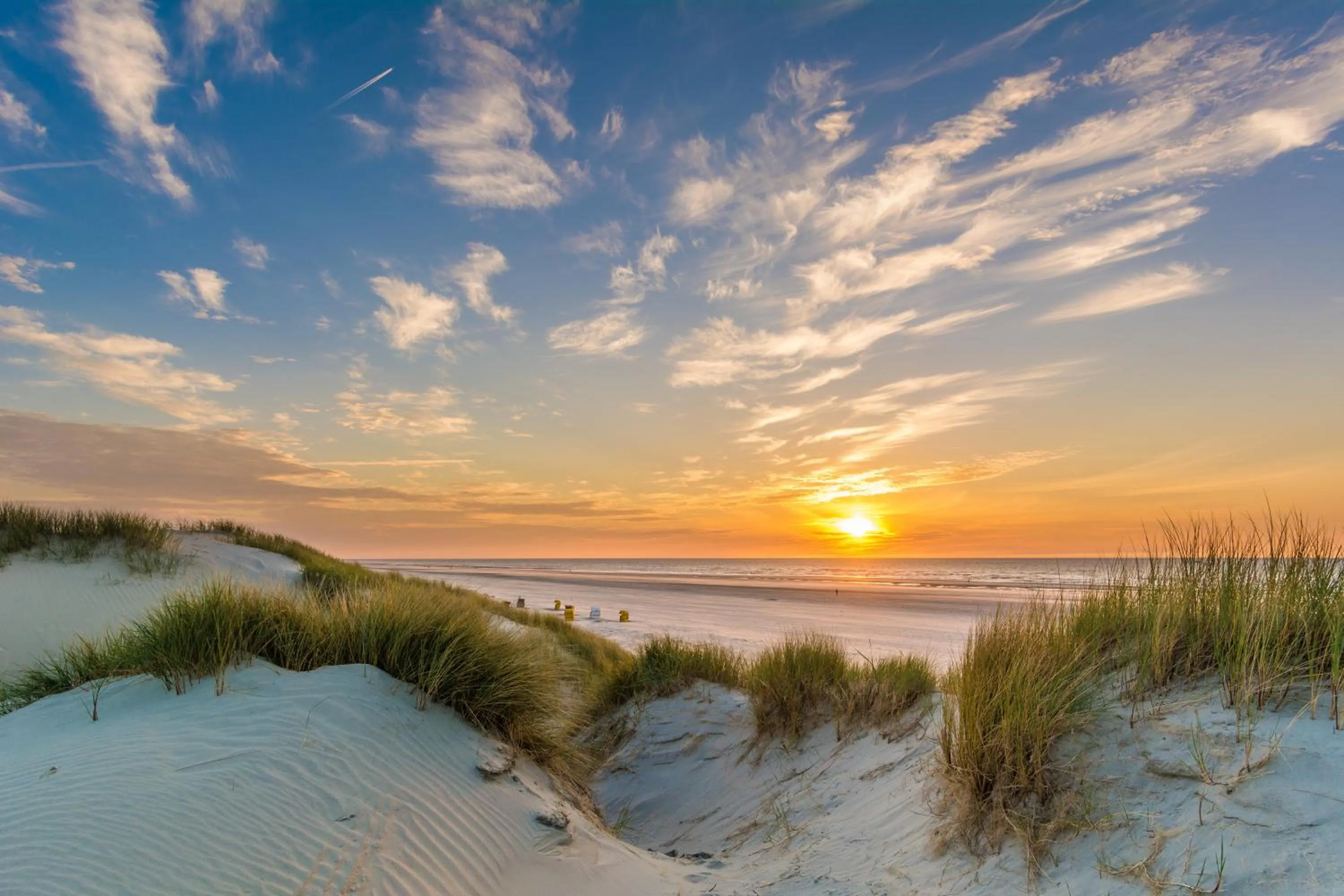 Natural landscape in Hotel Atlantic Juist