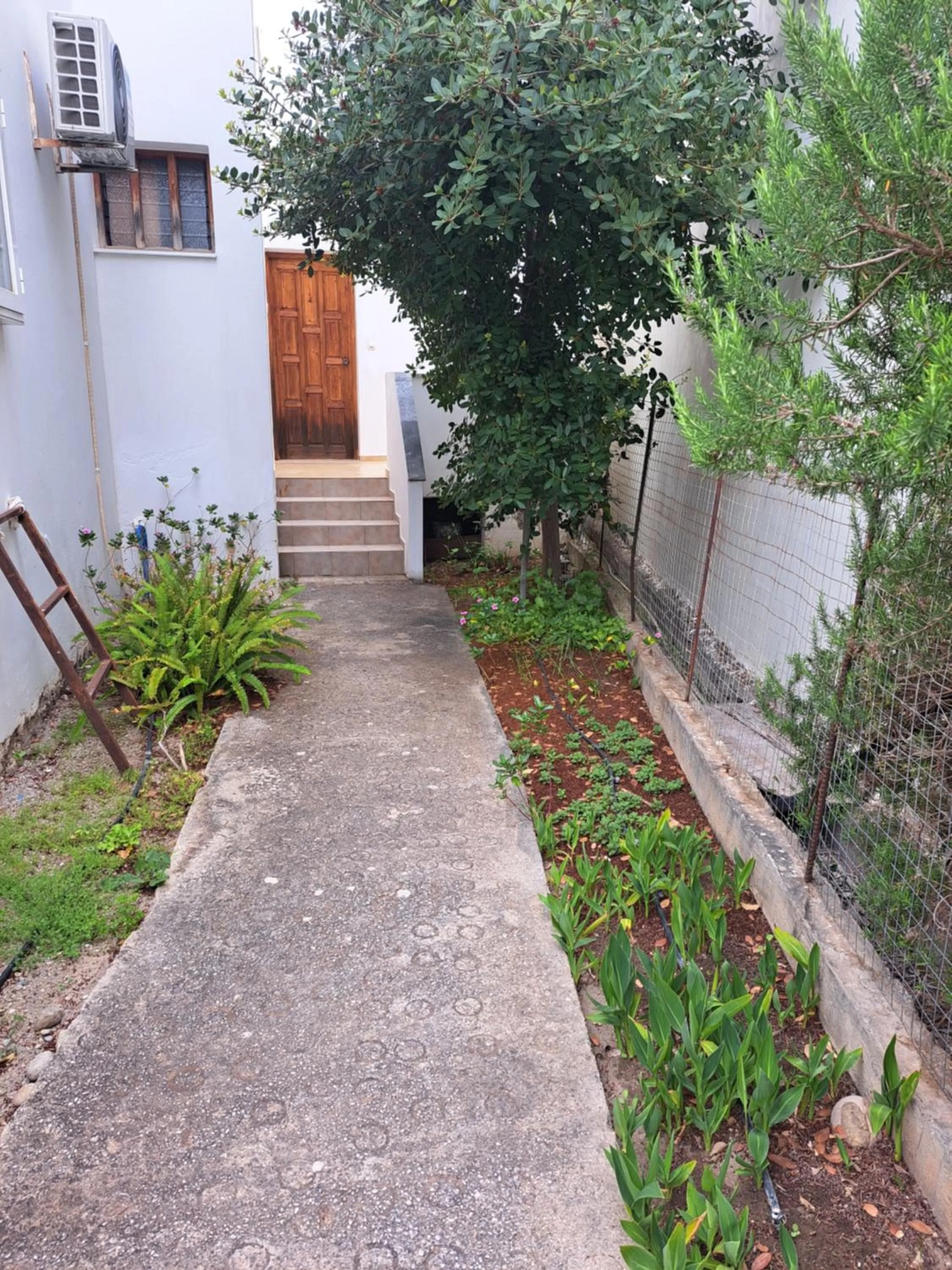 Facade/entrance in LITHI