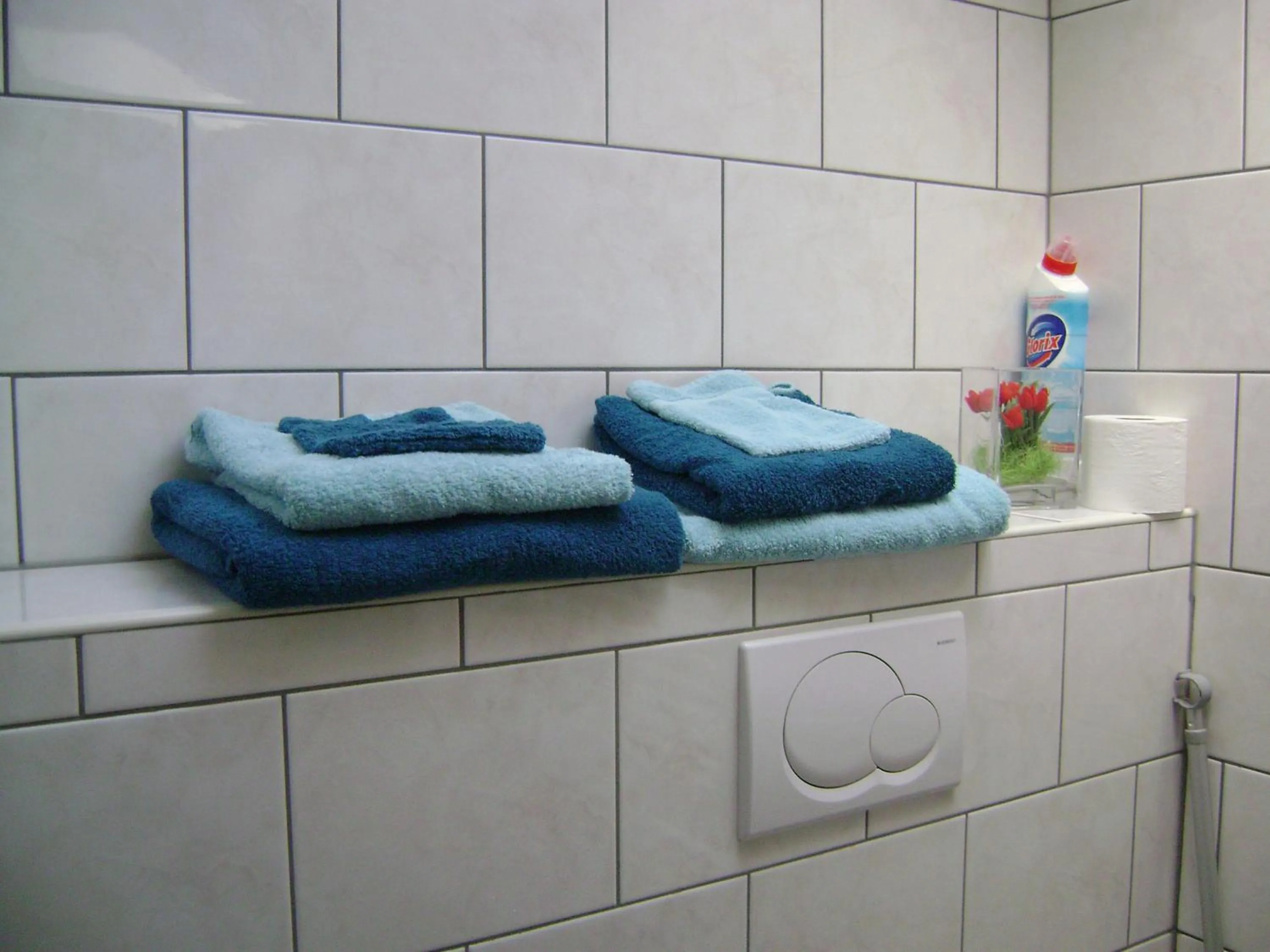 Bathroom in Boerderij Hazenveld