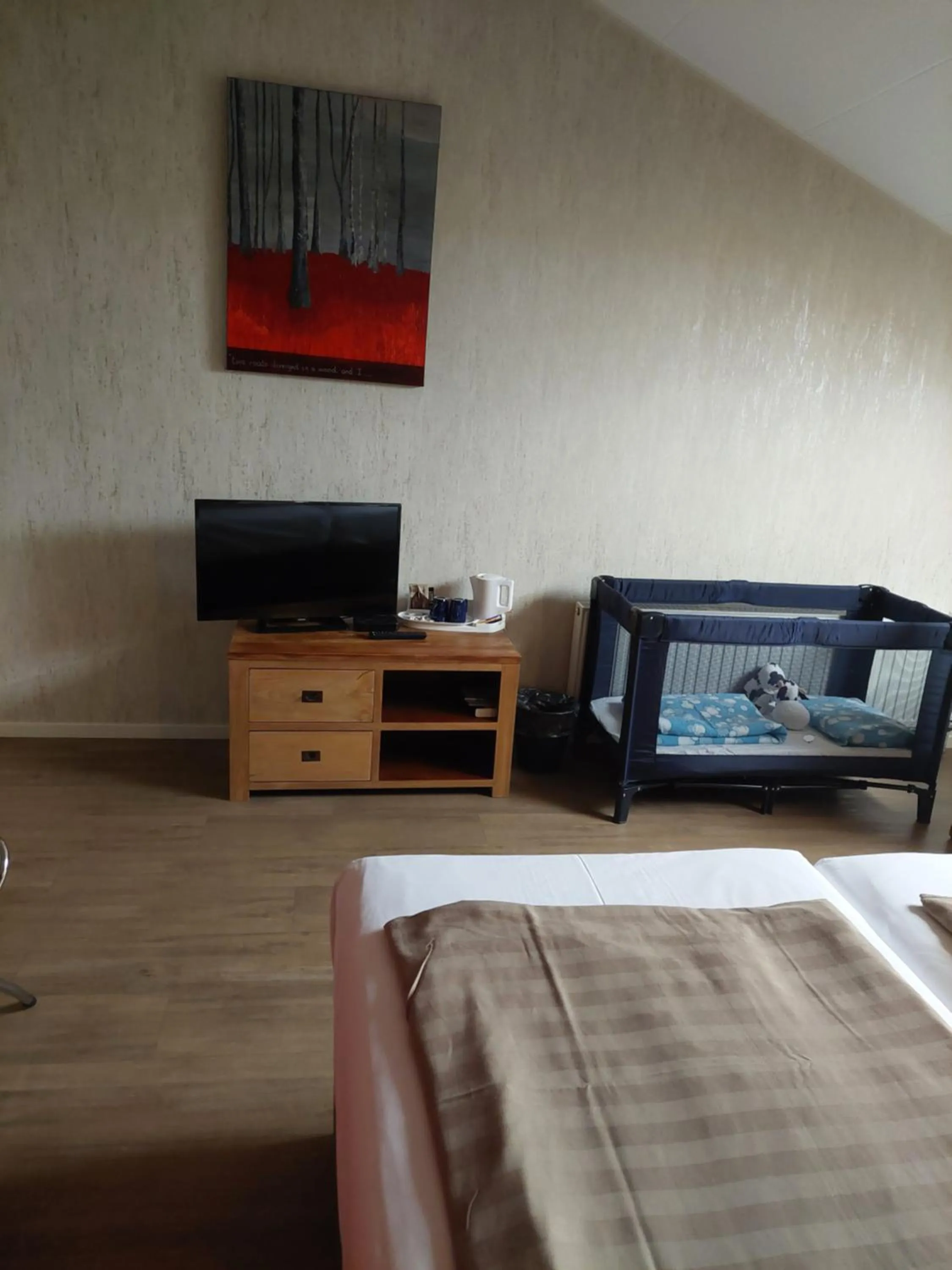 TV and multimedia, Bed in Boerderij Hazenveld