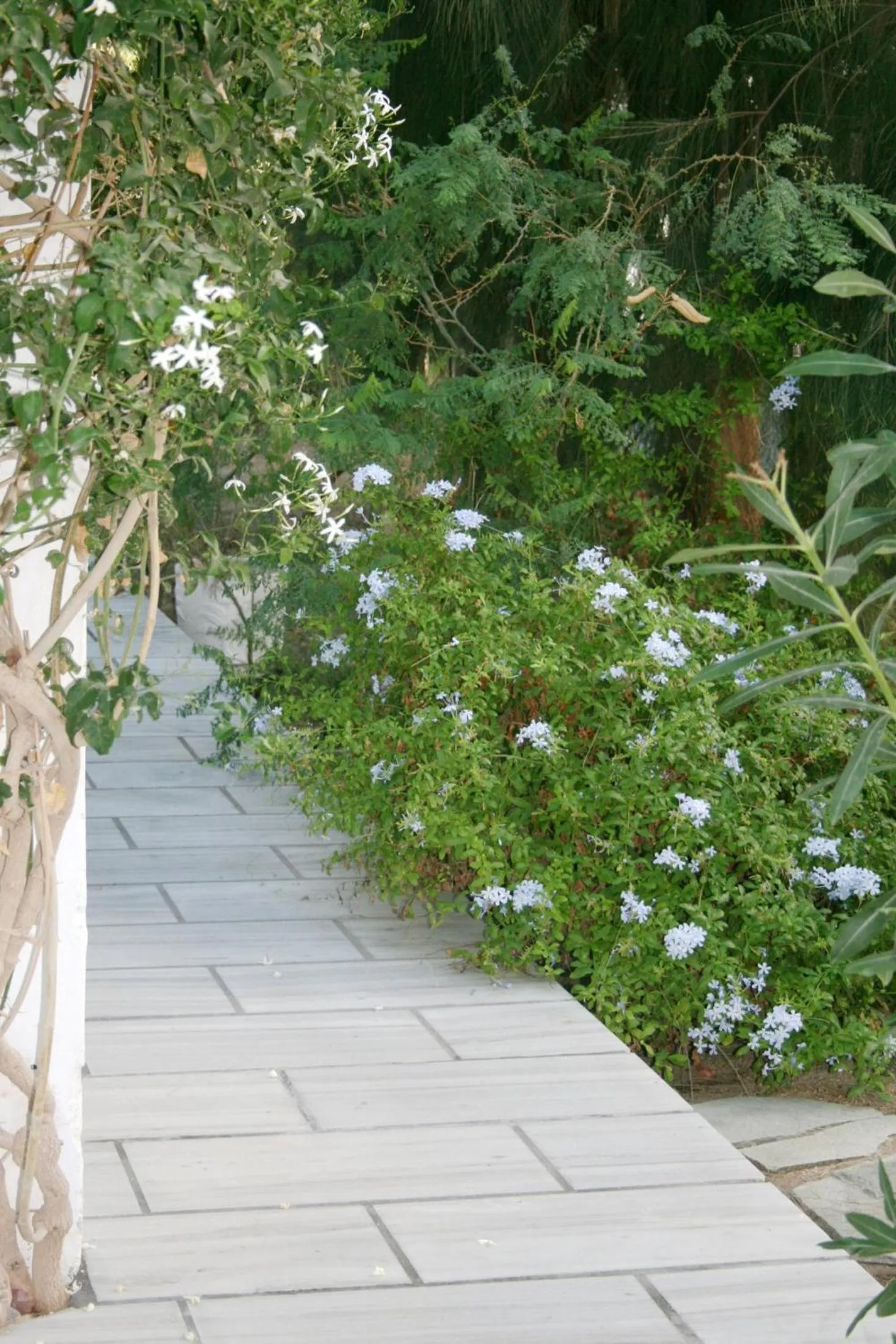 SPIROS & HIROKO Hotel - ADULTS ONLY